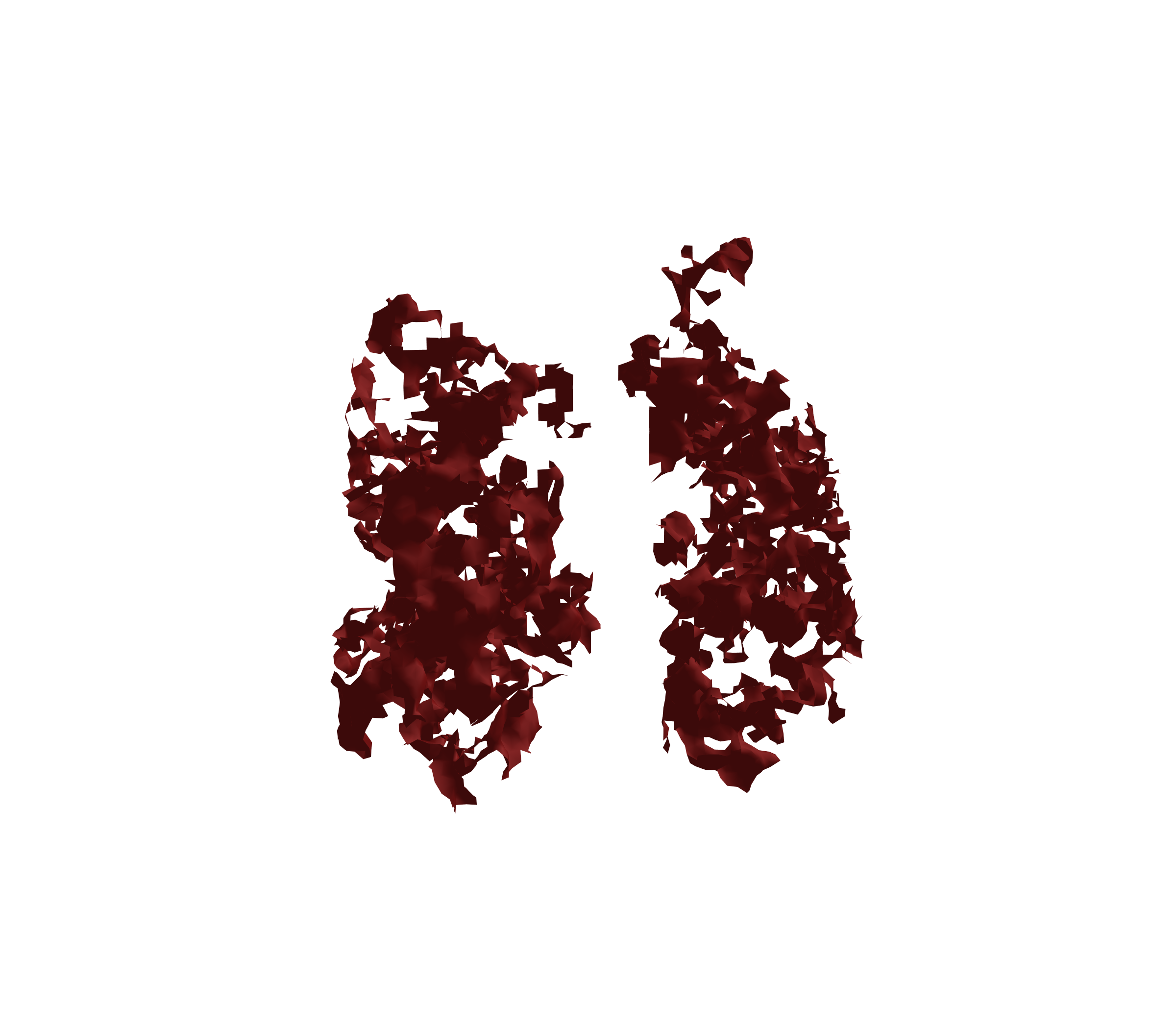 Surface Mesh (Expiration) - Front View