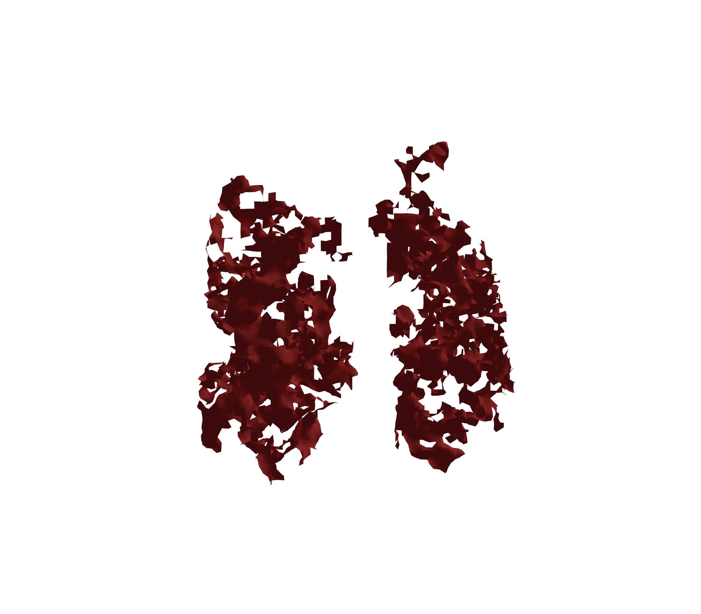 Surface Mesh (Expiration) - Front View