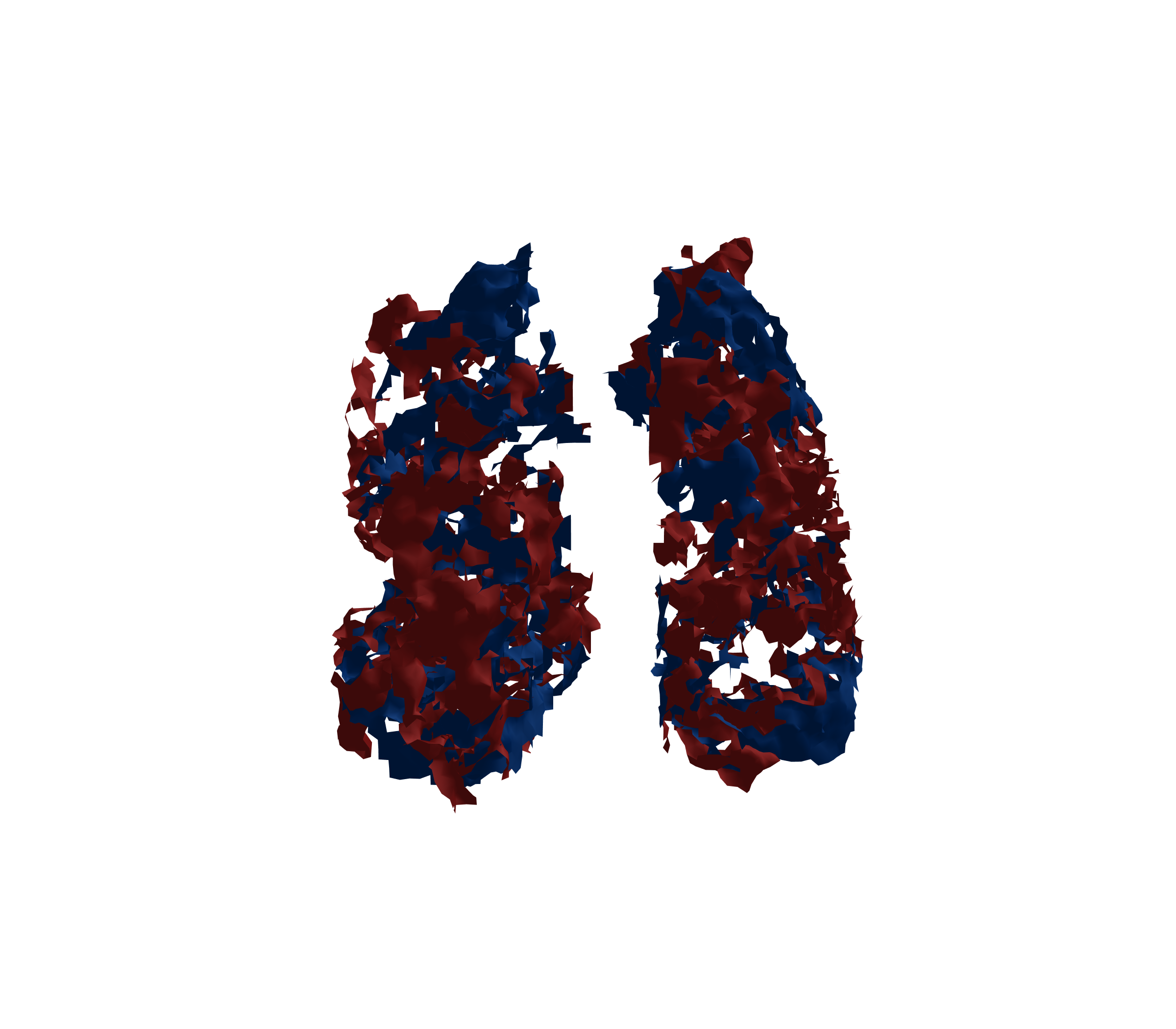 Surface Mesh - Front View