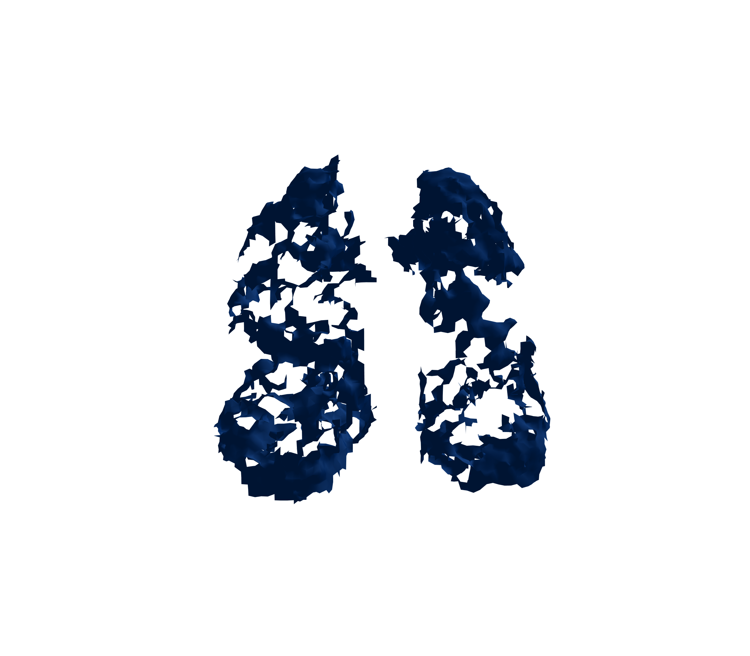 Surface Mesh (Inspiration) - Front View