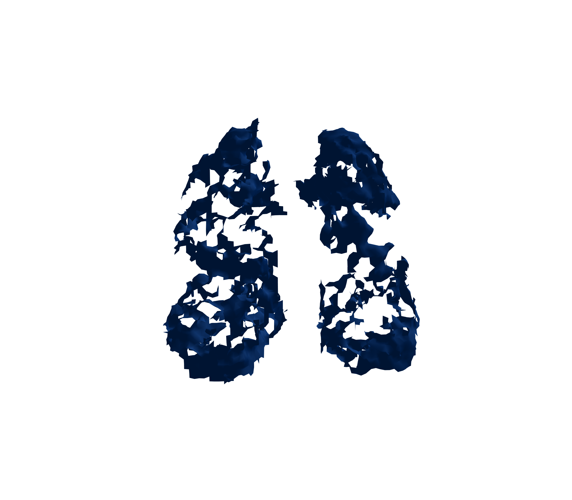 Surface Mesh (Inspiration) - Front View