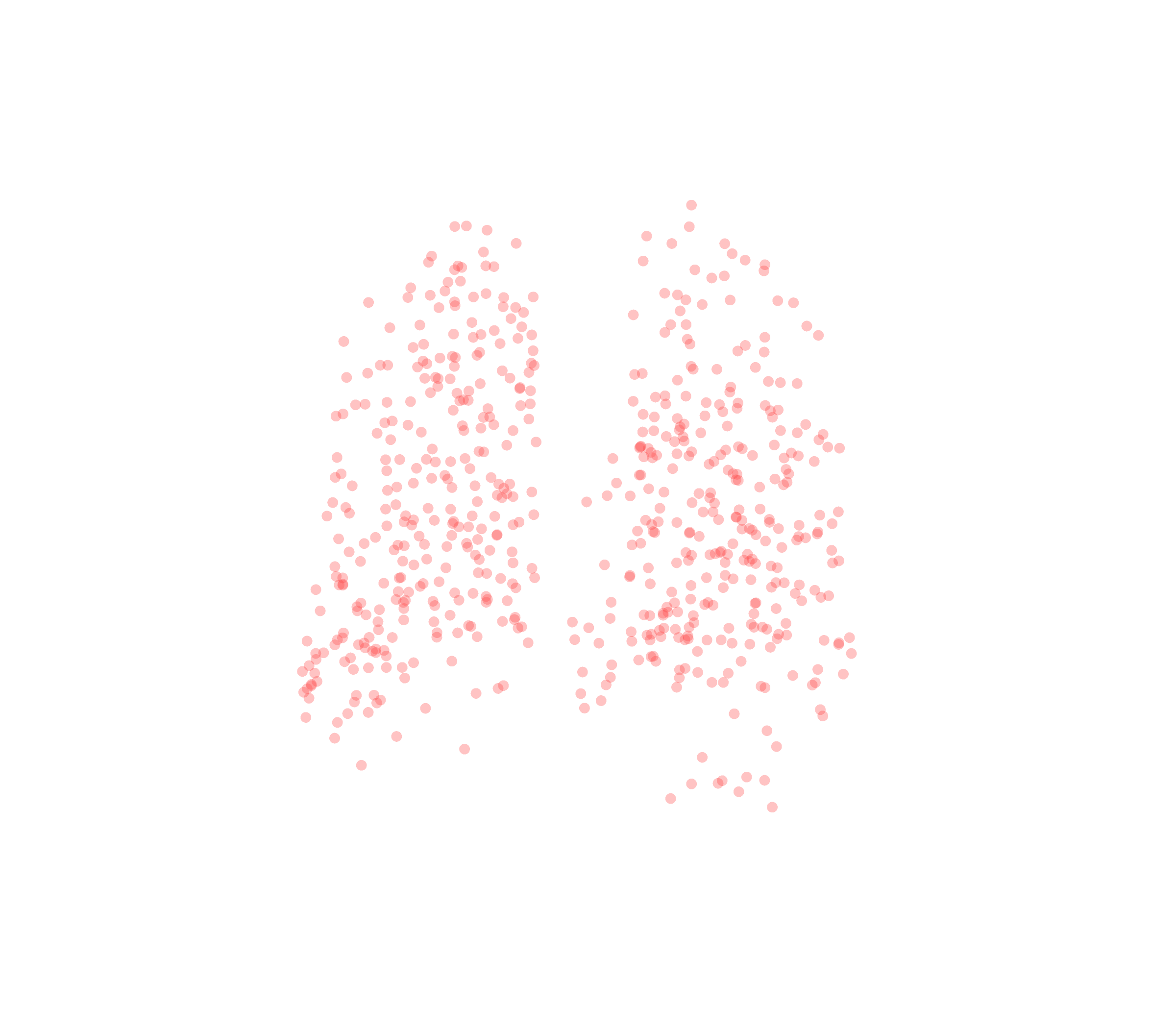 Displacement Vectors (Expiration) - Back View