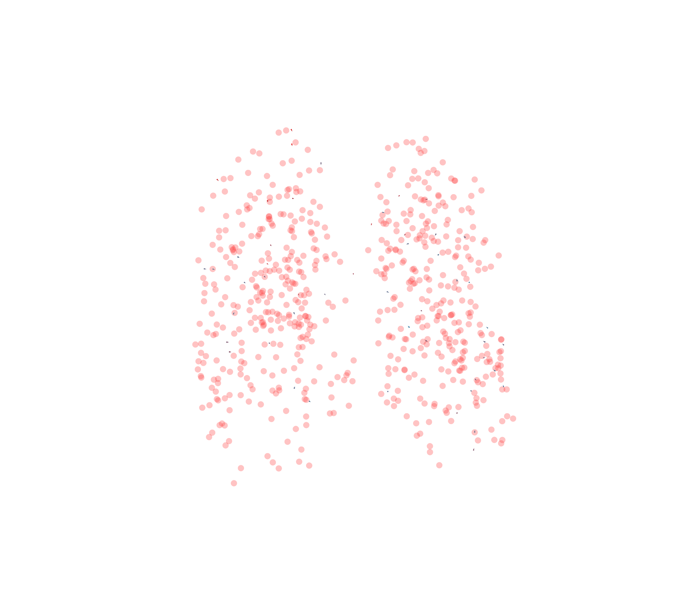 Displacement Vectors - Front View
