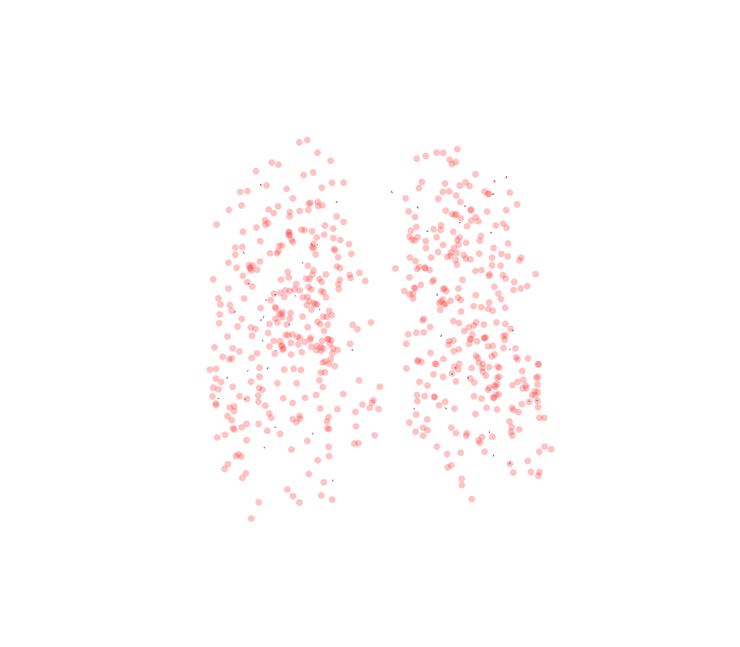 Displacement Vectors - Front View