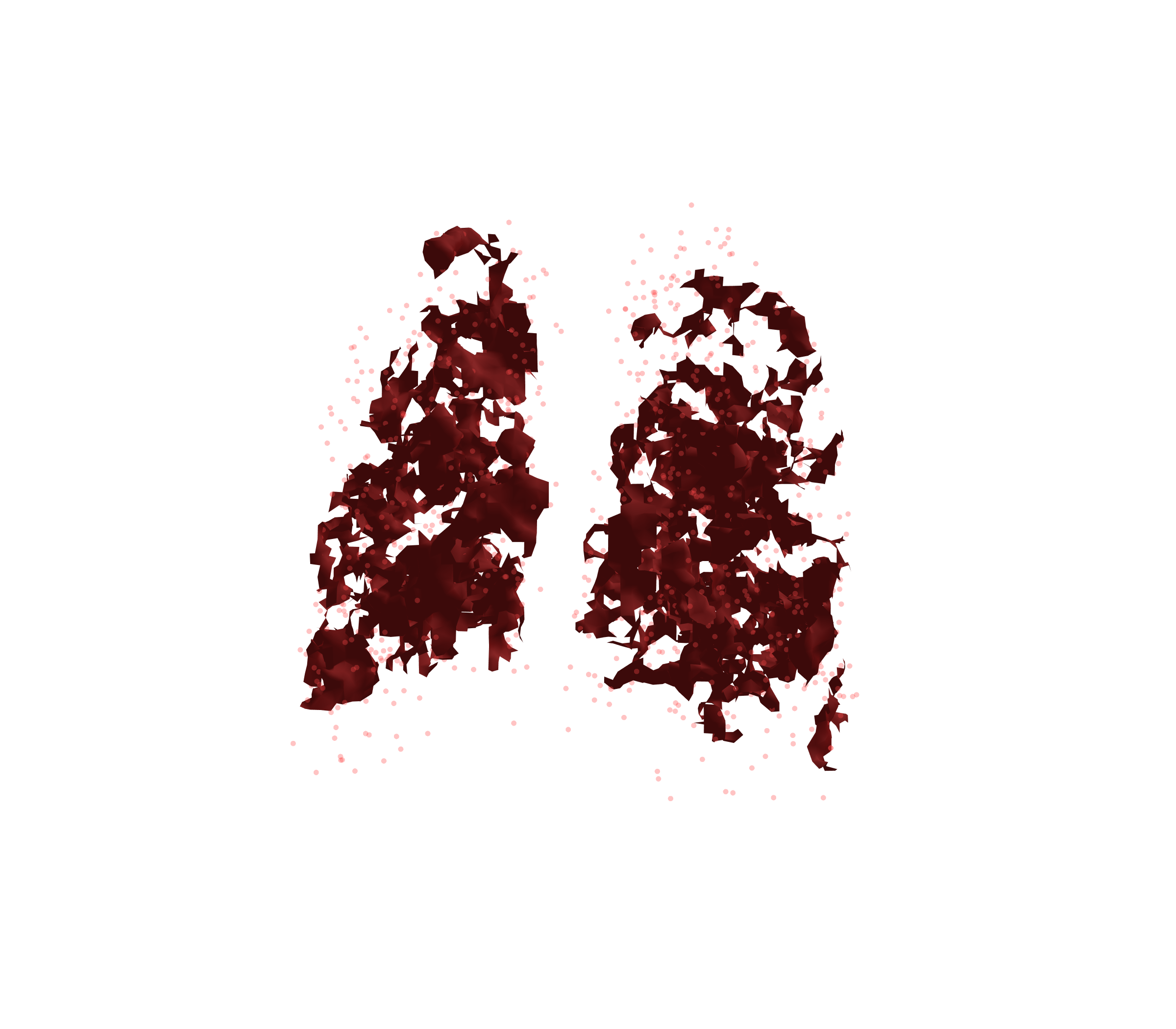 Combined Visualization (Expiration) - Back View