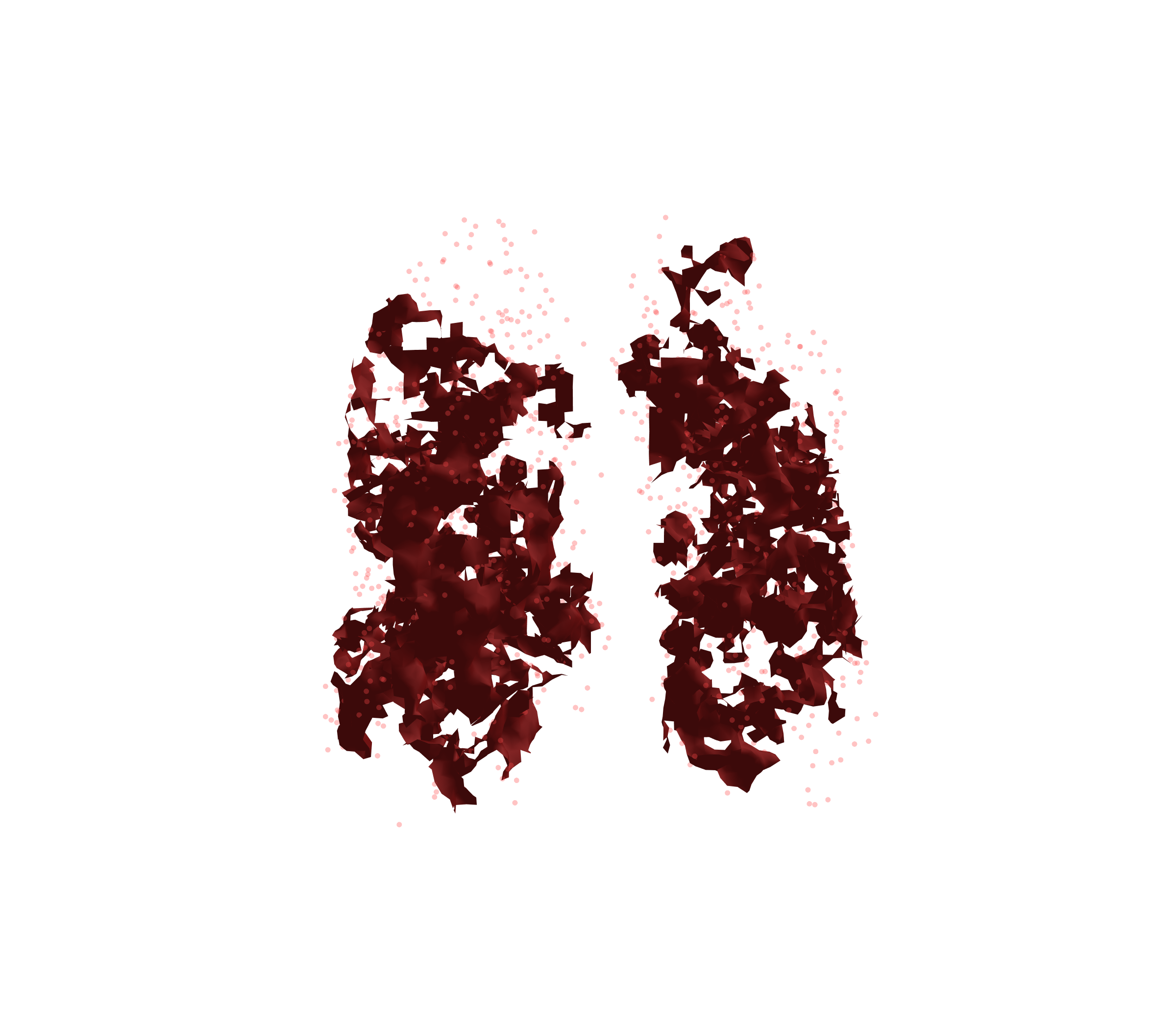 Combined Visualization (Expiration) - Front View