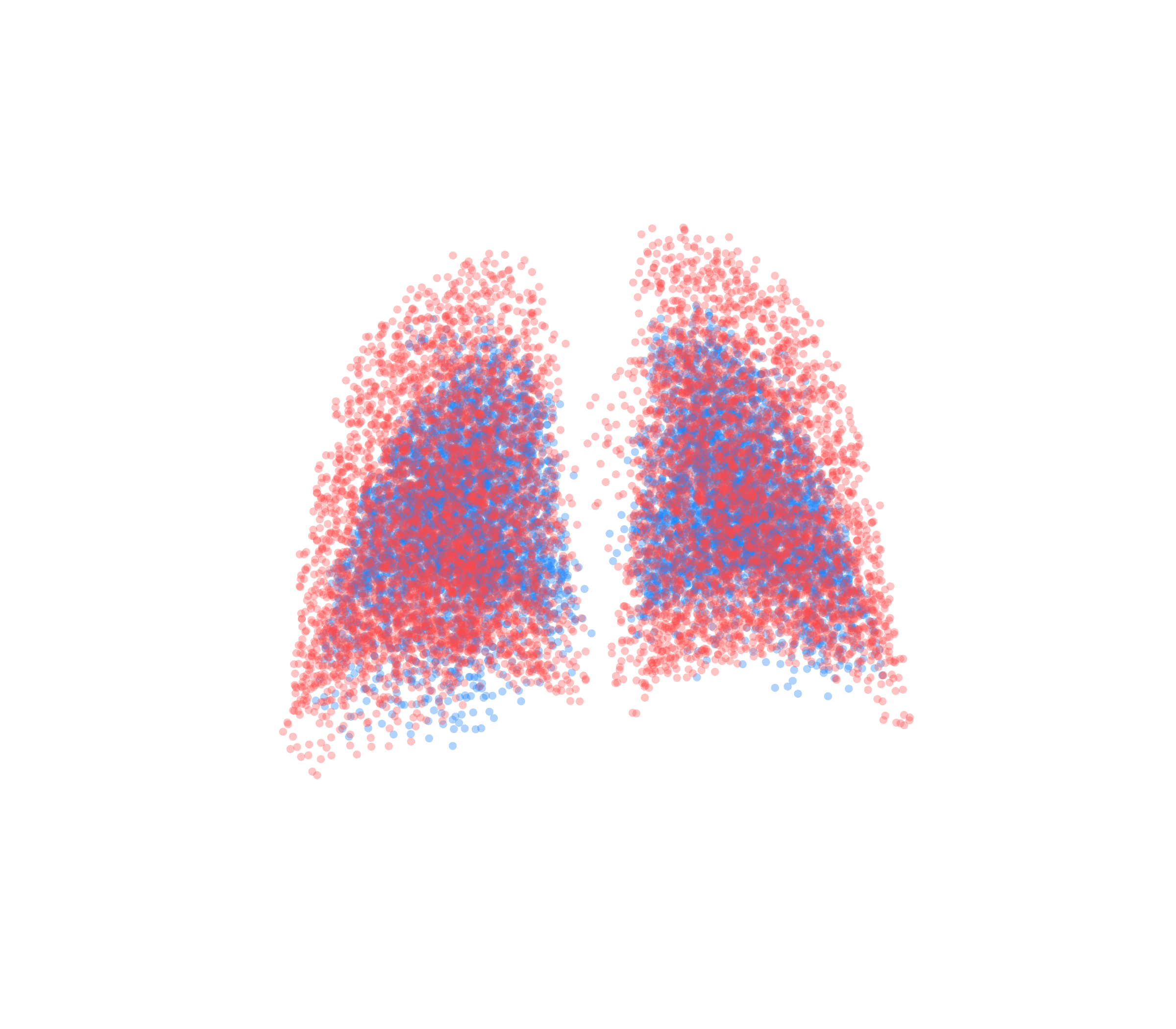 Point Cloud - Back View