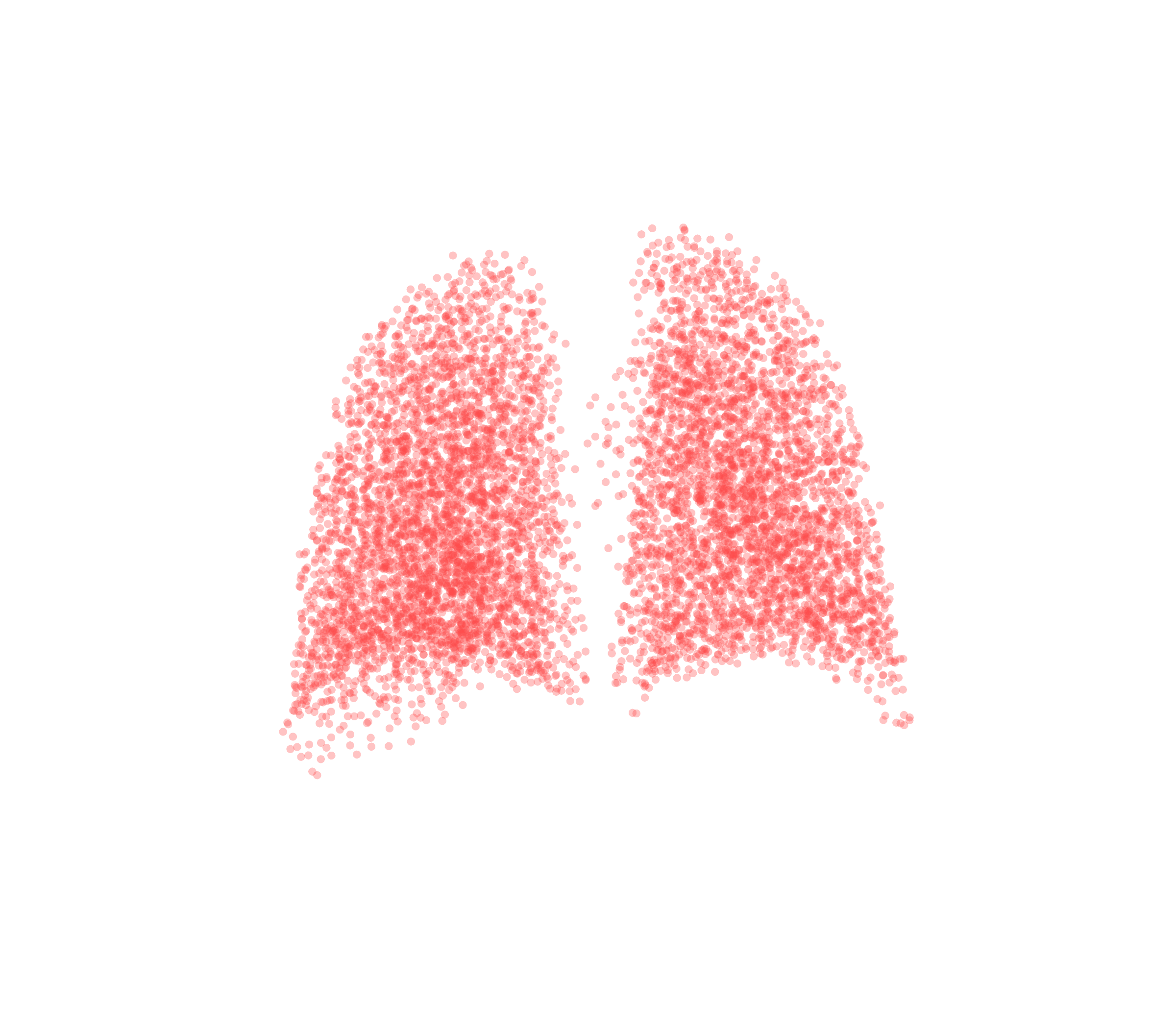 Point Cloud (Expiration) - Back View