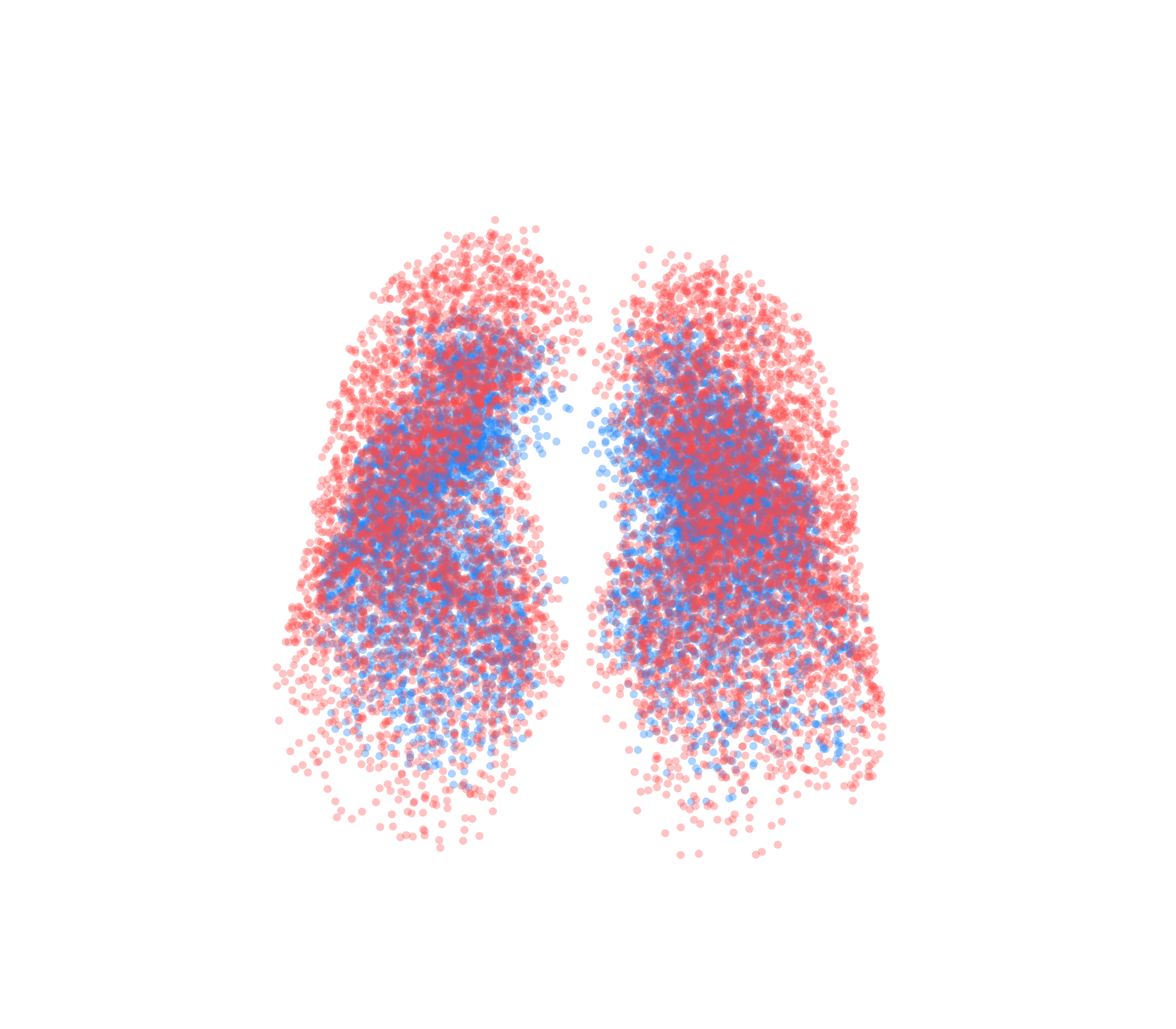 Point Cloud - Front View