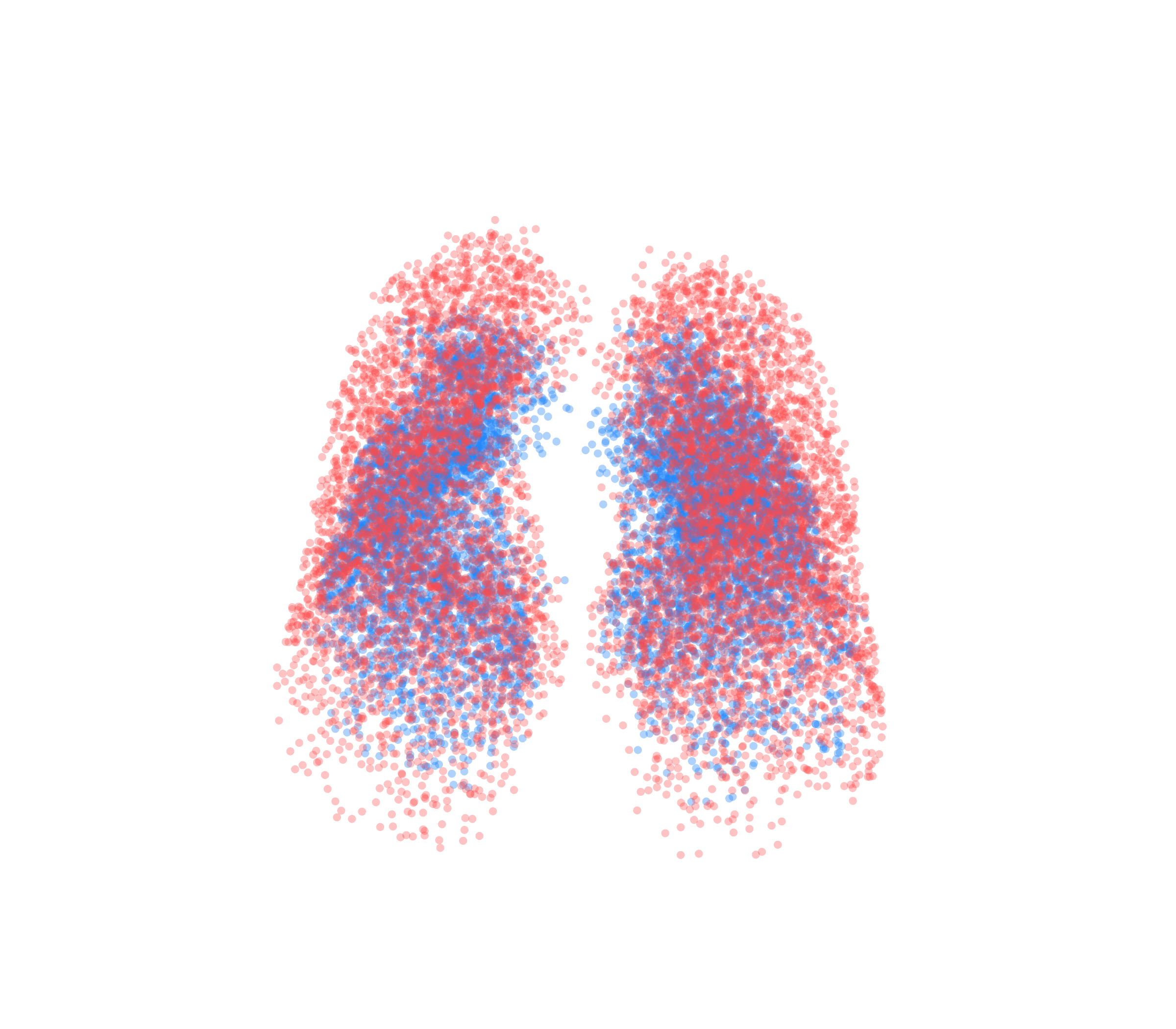 Point Cloud - Front View