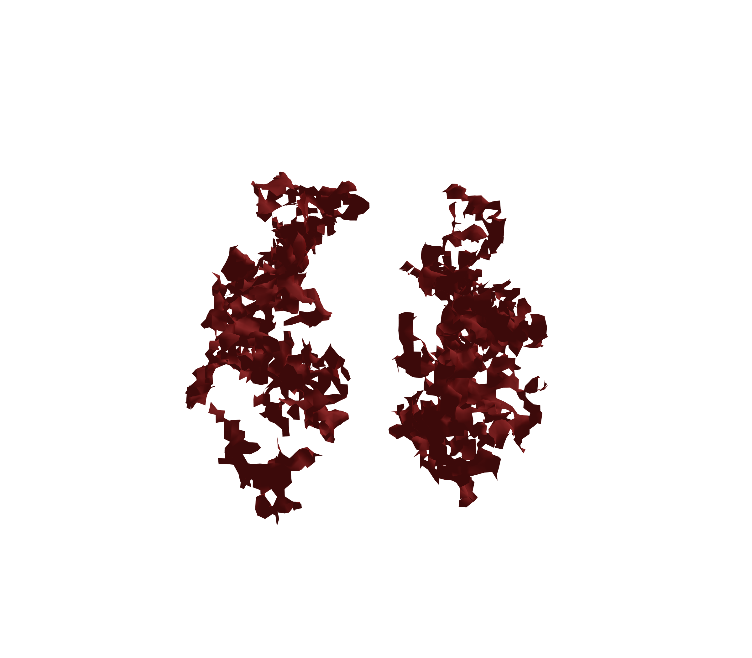 Surface Mesh (Expiration) - Front View