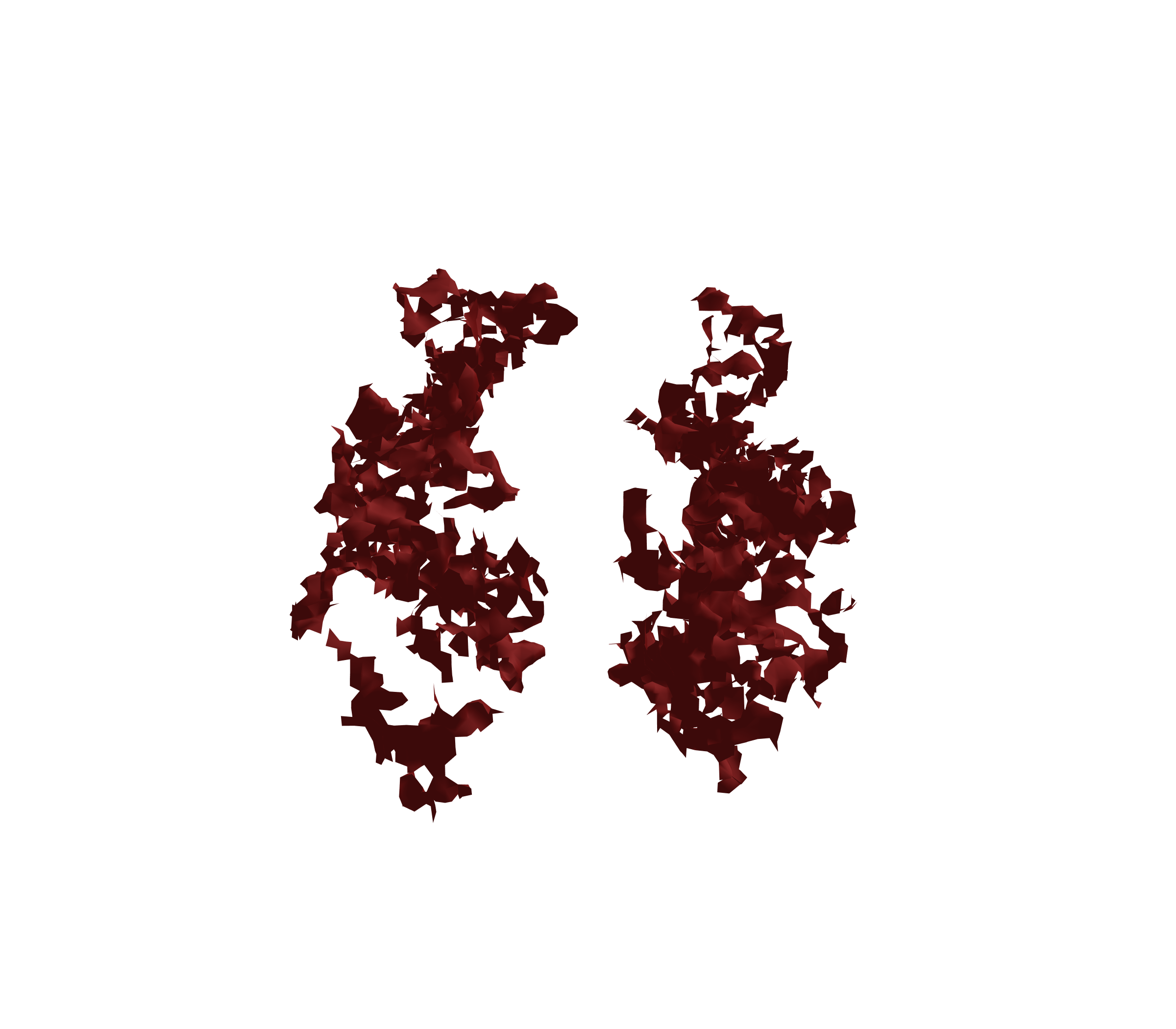 Surface Mesh (Expiration) - Front View