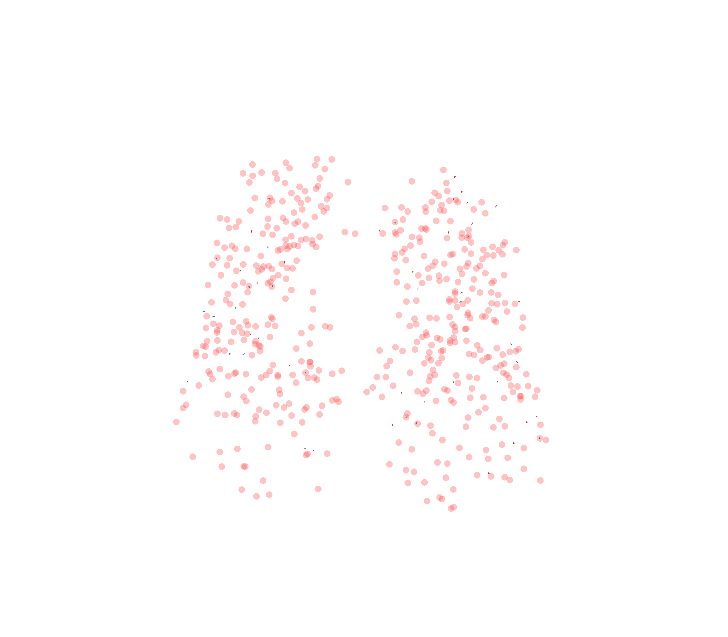 Displacement Vectors - Front View