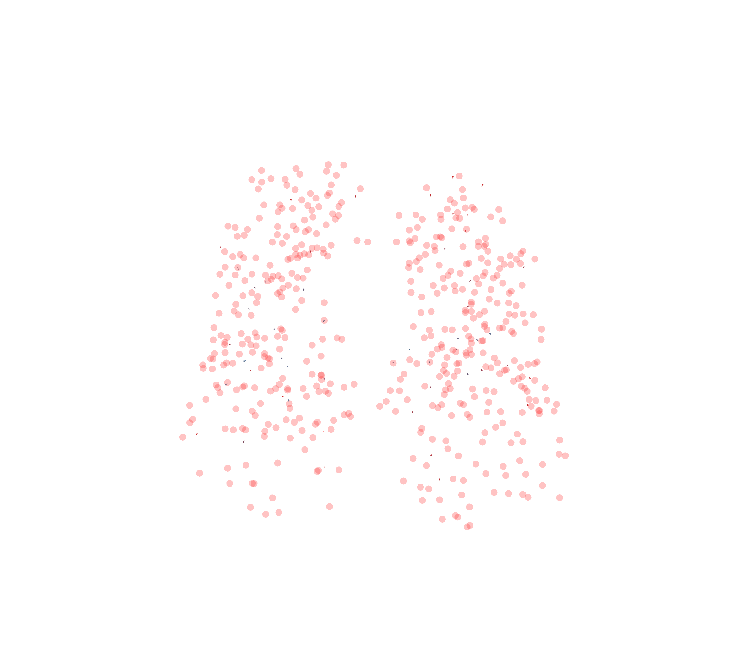 Displacement Vectors - Front View