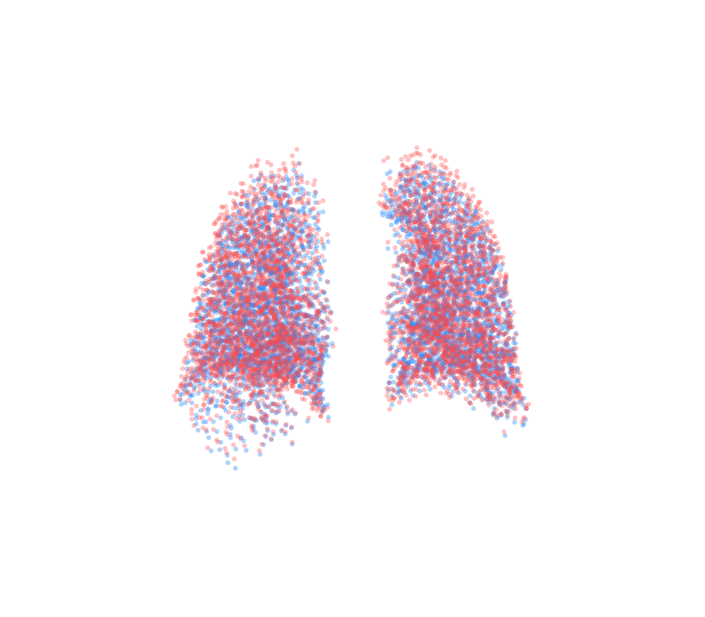 Point Cloud - Back View