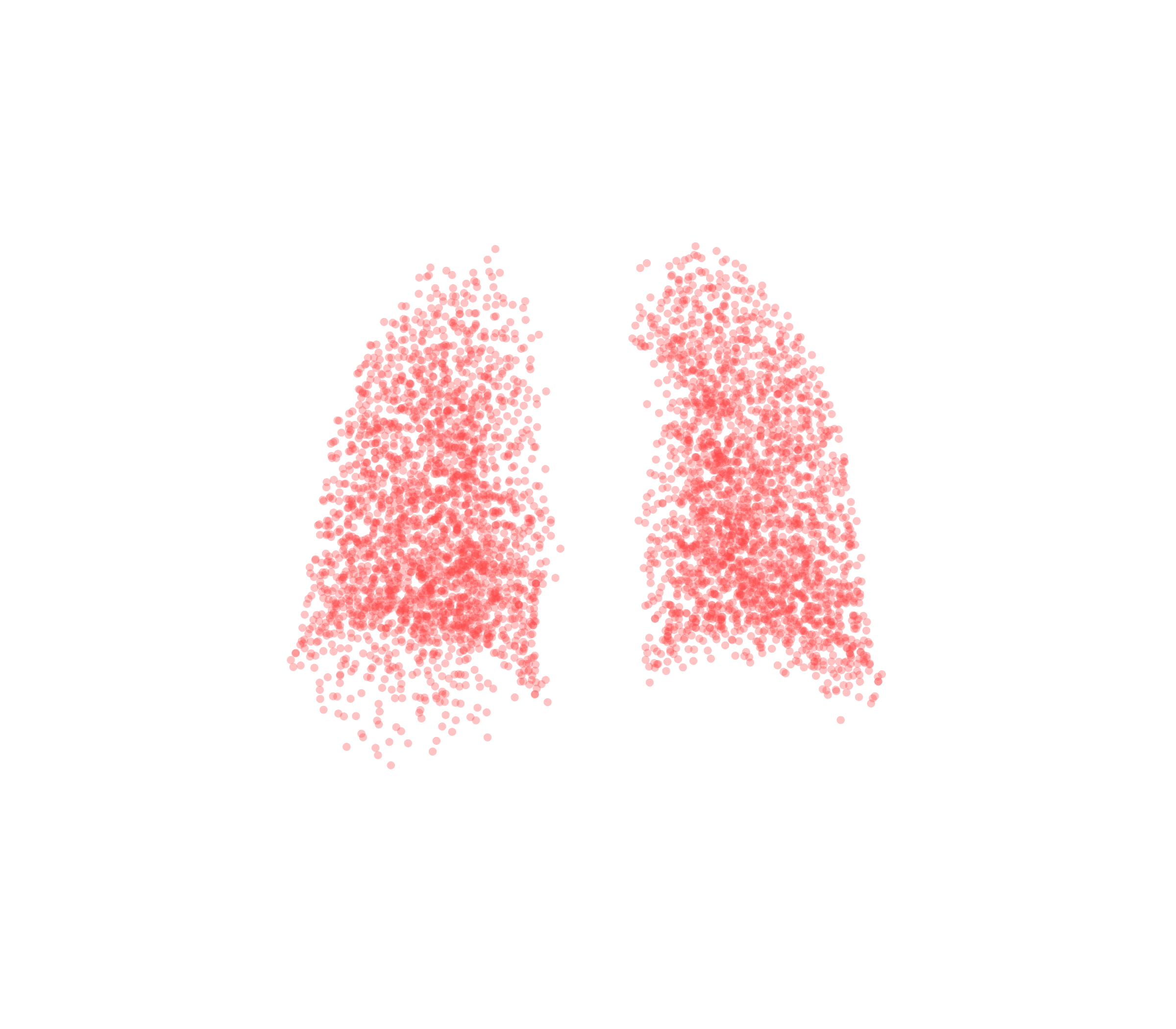 Point Cloud (Expiration) - Back View