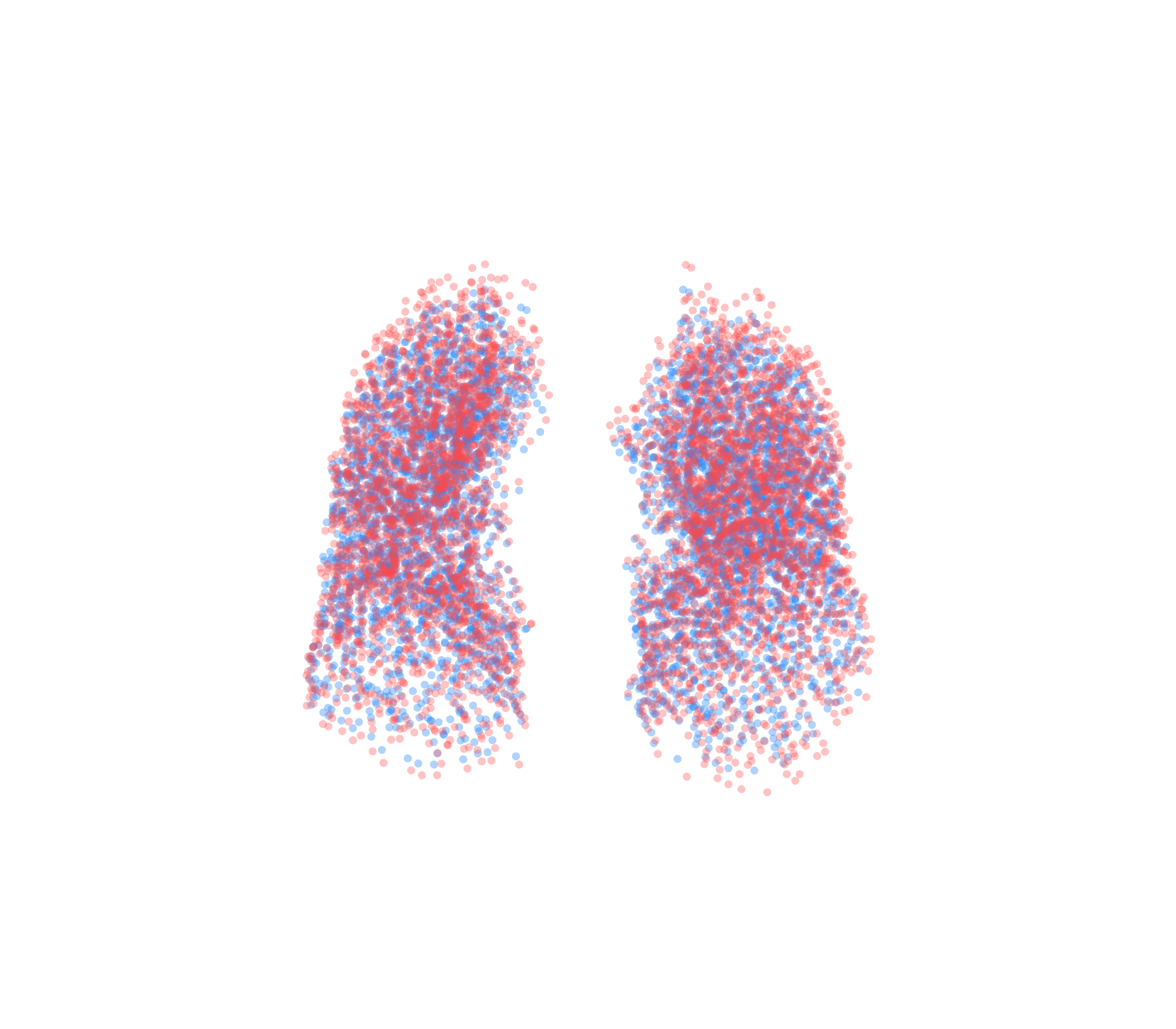 Point Cloud - Front View