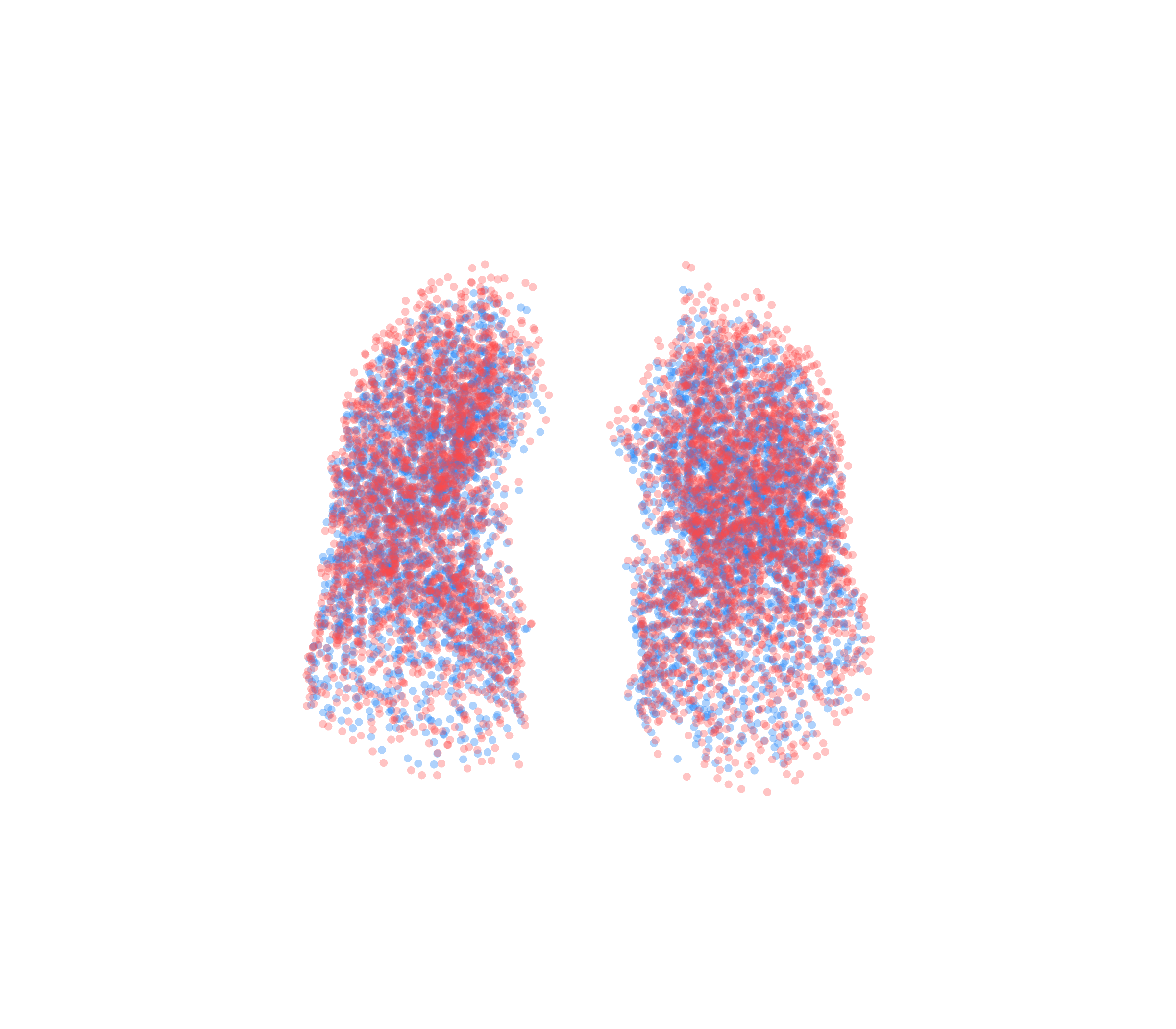 Point Cloud - Front View