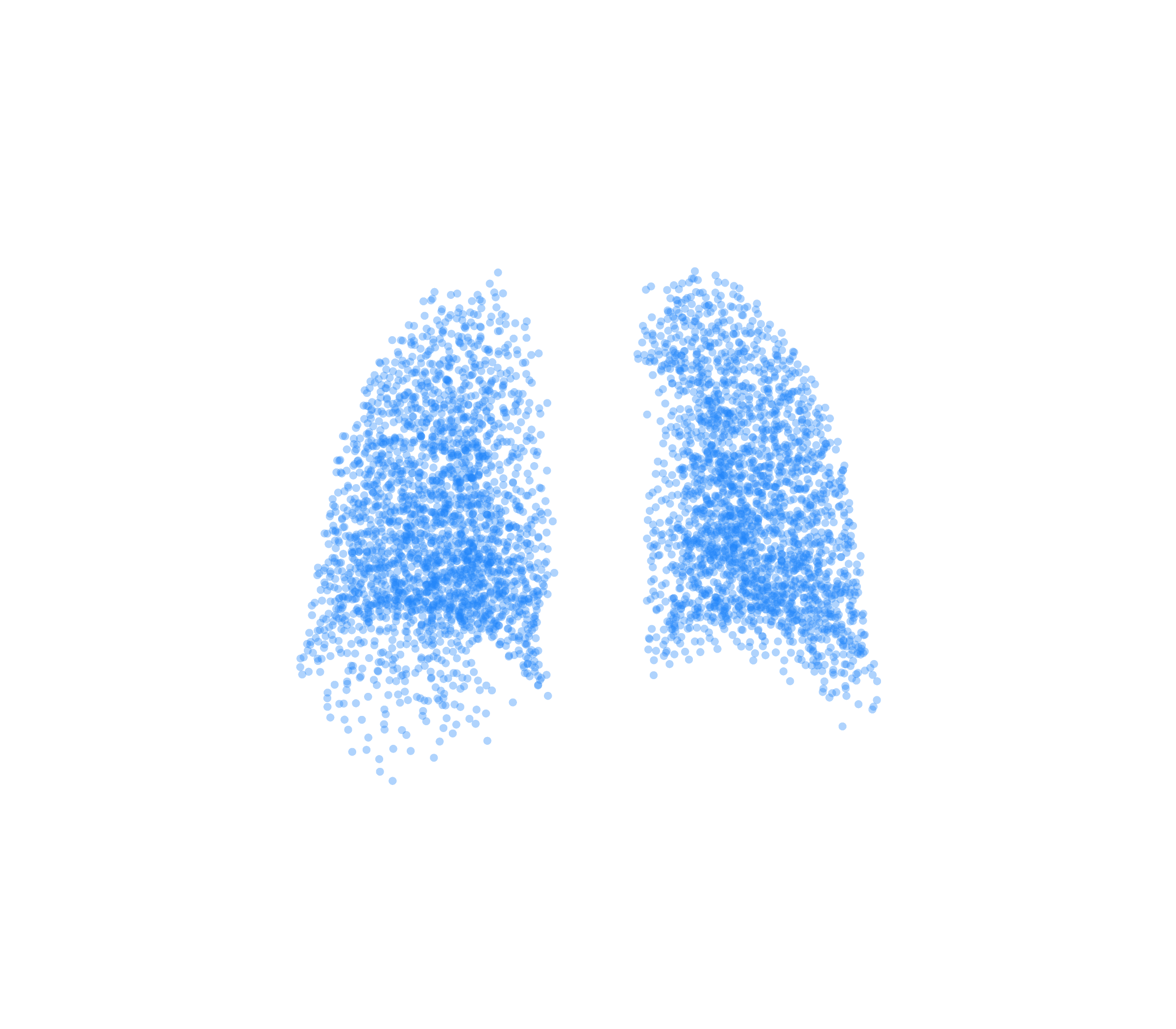 Point Cloud (Inspiration) - Back View