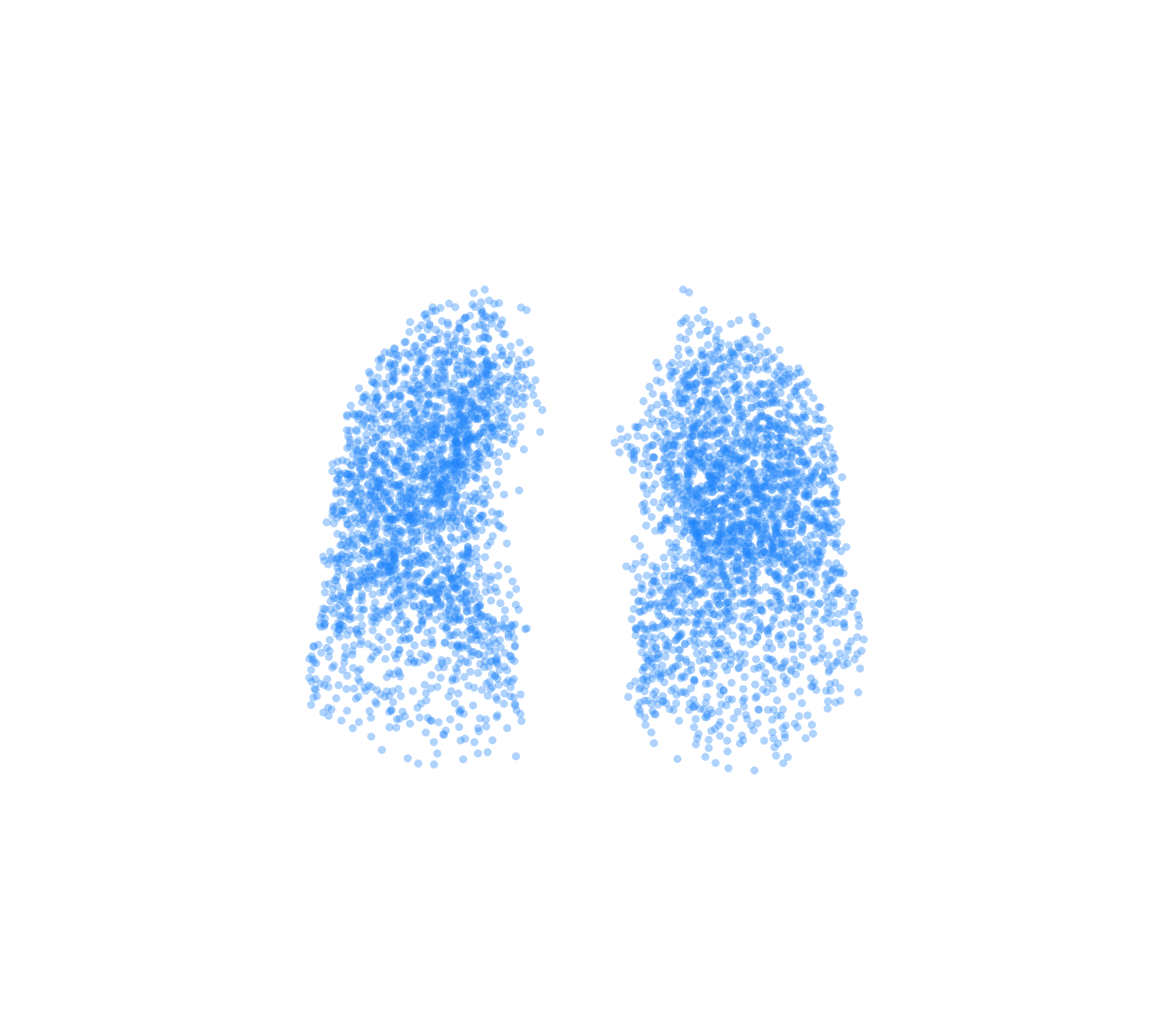 Point Cloud (Inspiration) - Front View