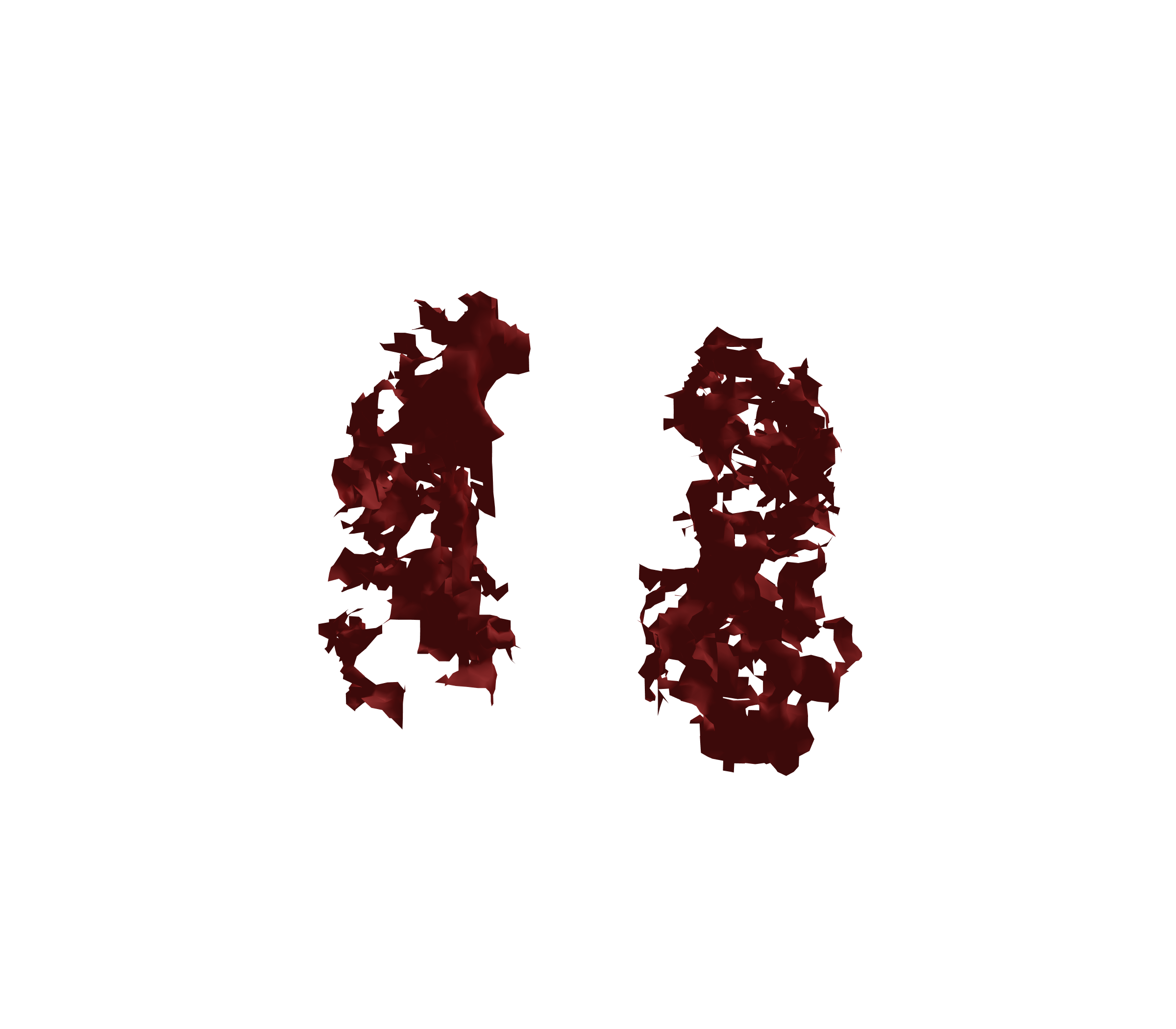 Surface Mesh (Expiration) - Front View