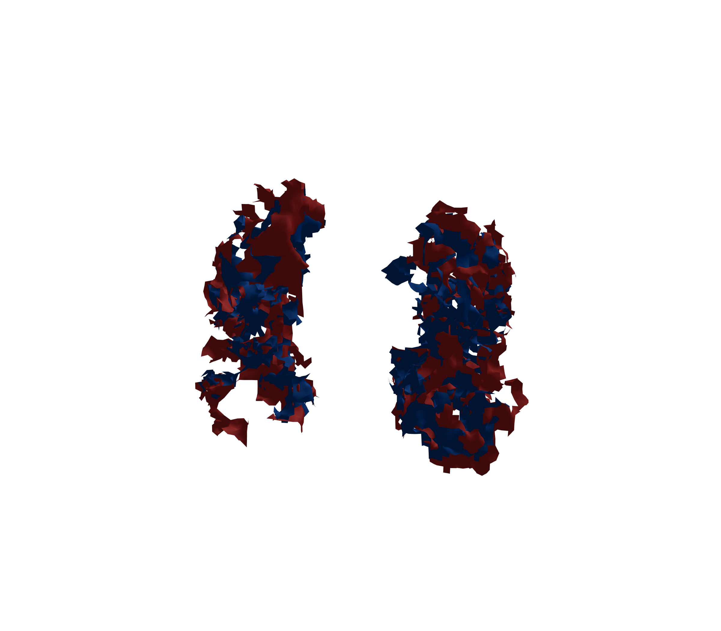 Surface Mesh - Front View