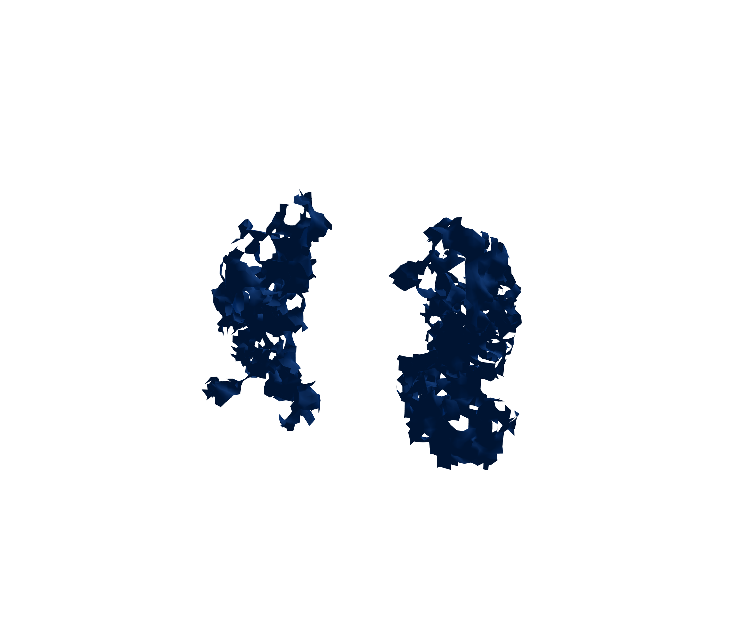 Surface Mesh (Inspiration) - Front View