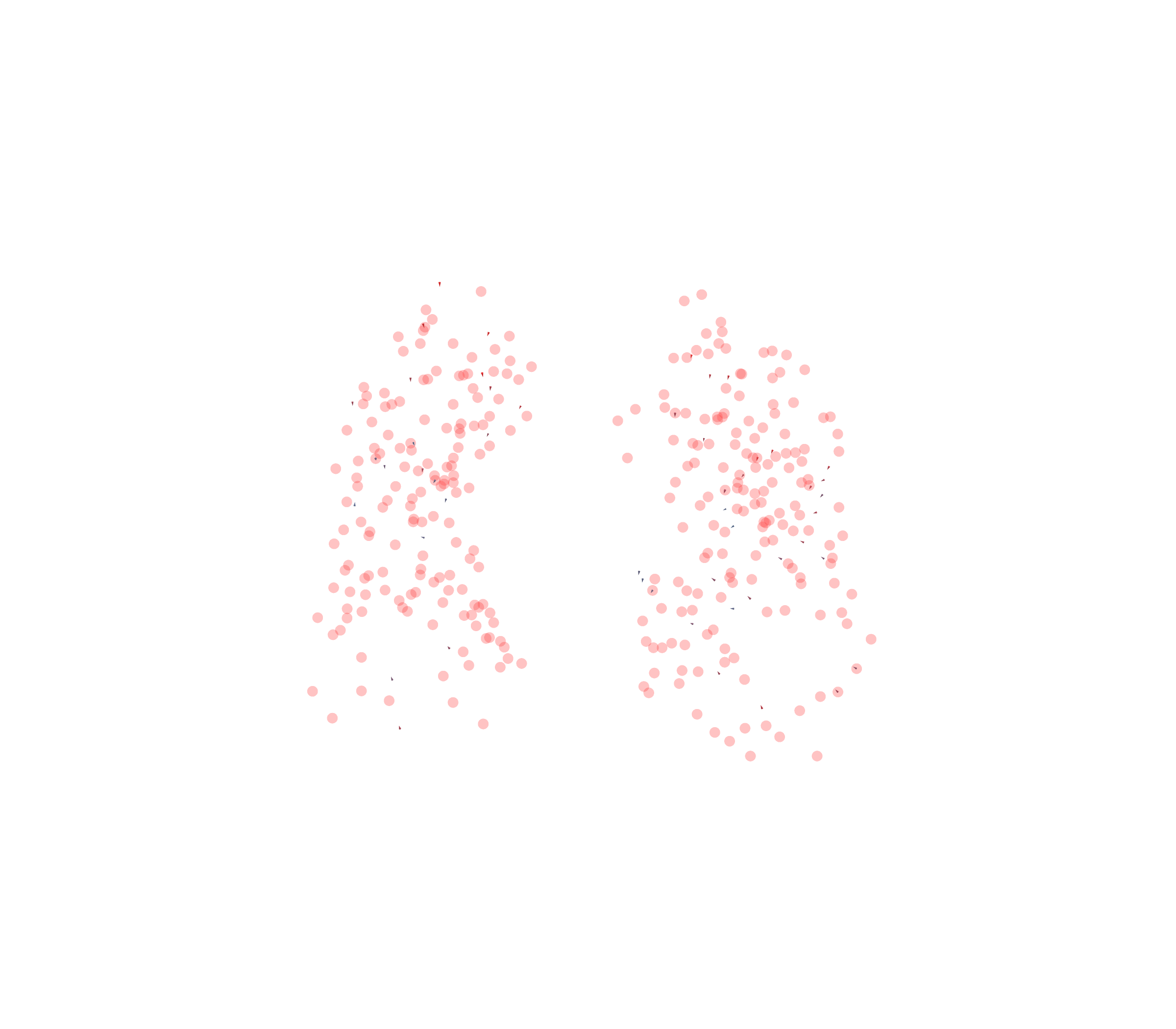 Displacement Vectors - Front View