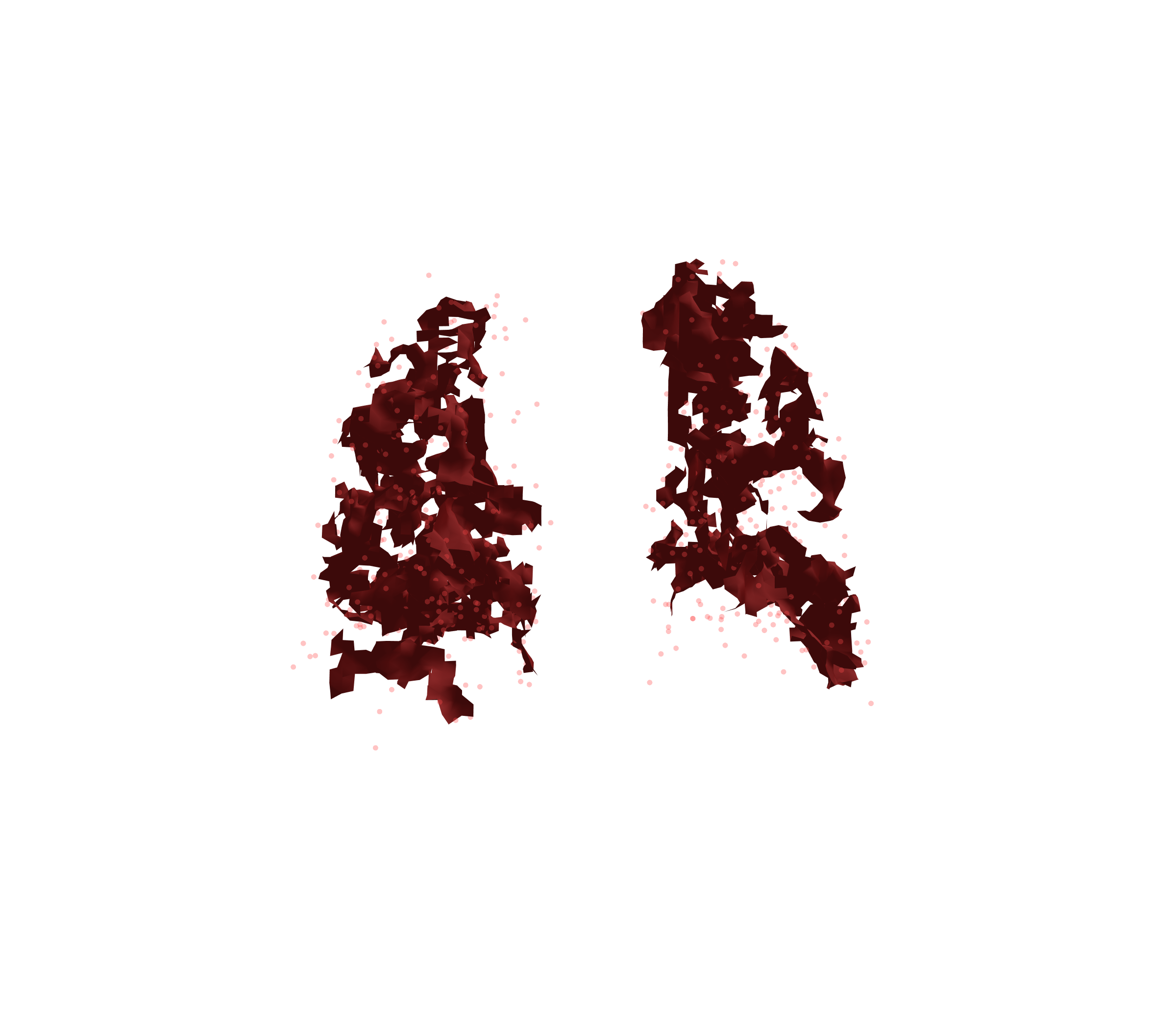 Combined Visualization (Expiration) - Back View