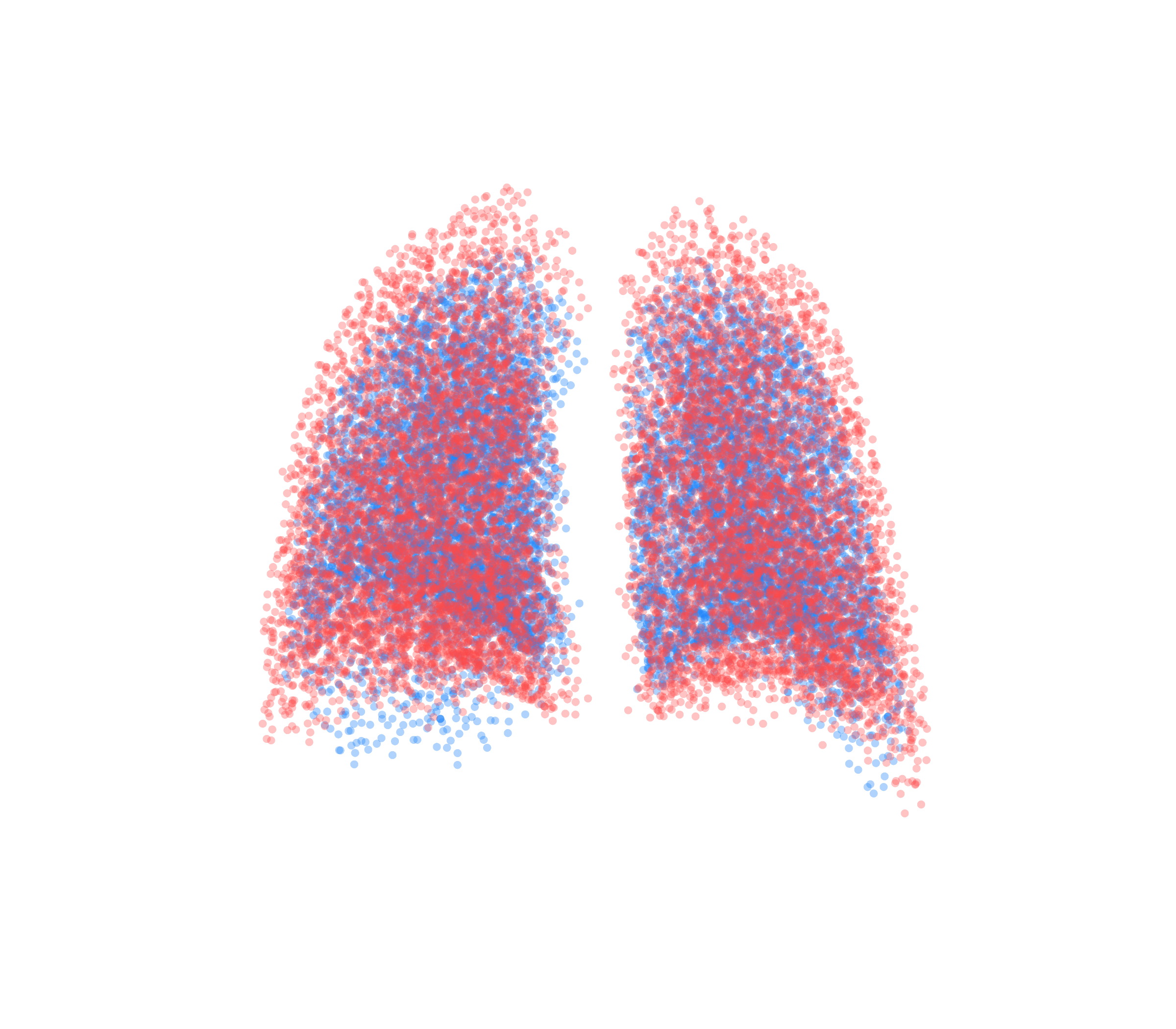 Point Cloud - Back View