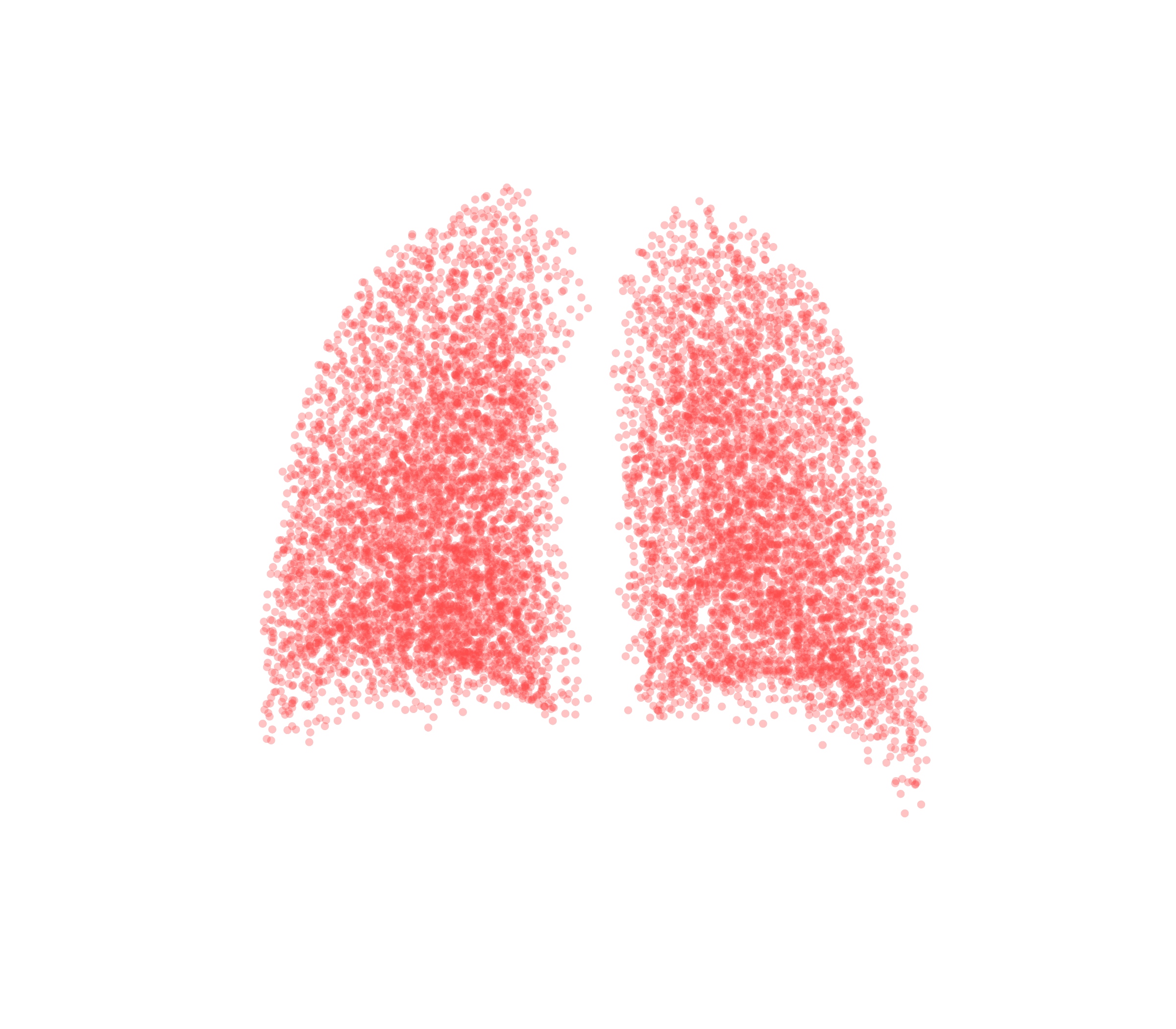 Point Cloud (Expiration) - Back View