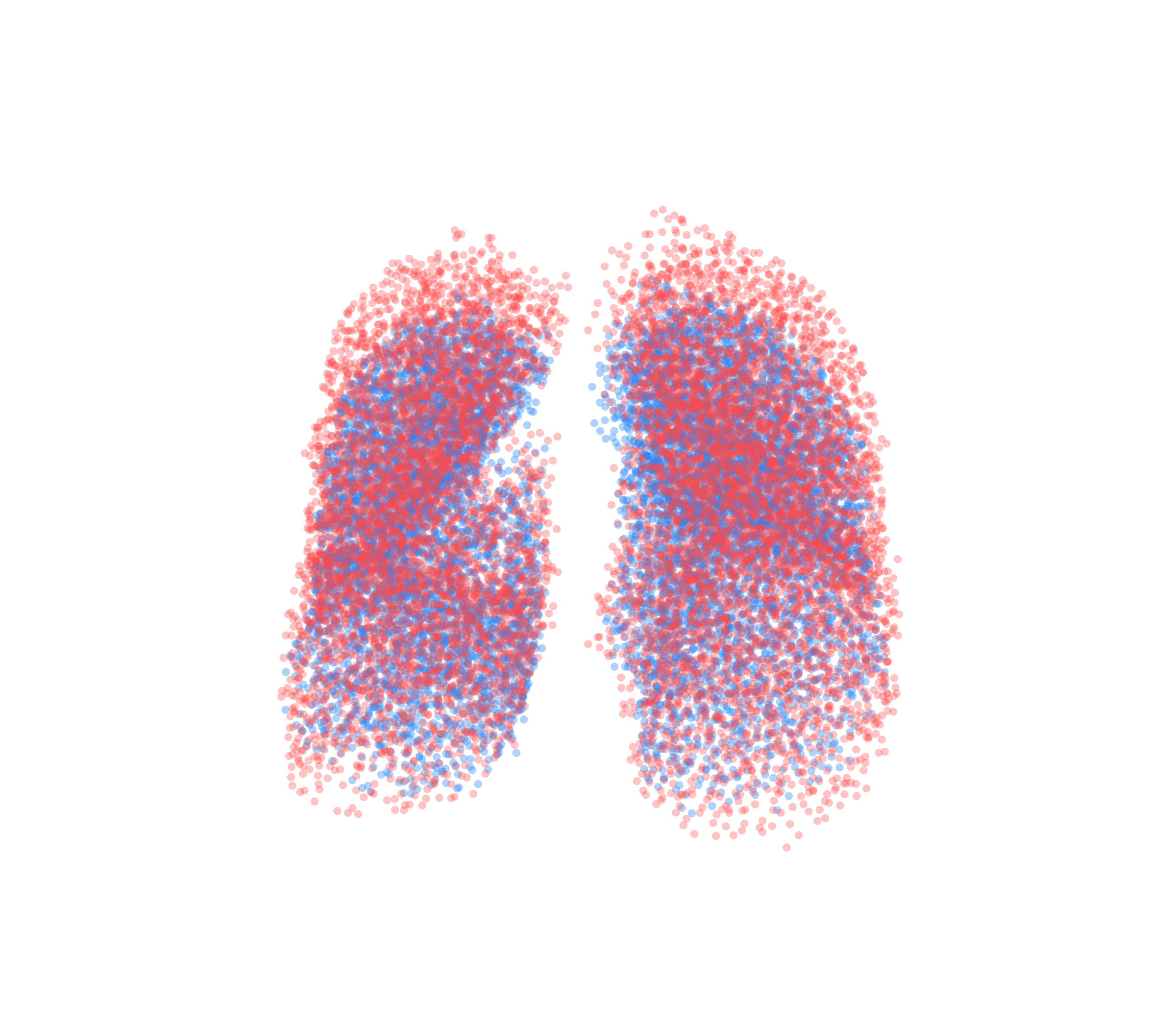 Point Cloud - Front View