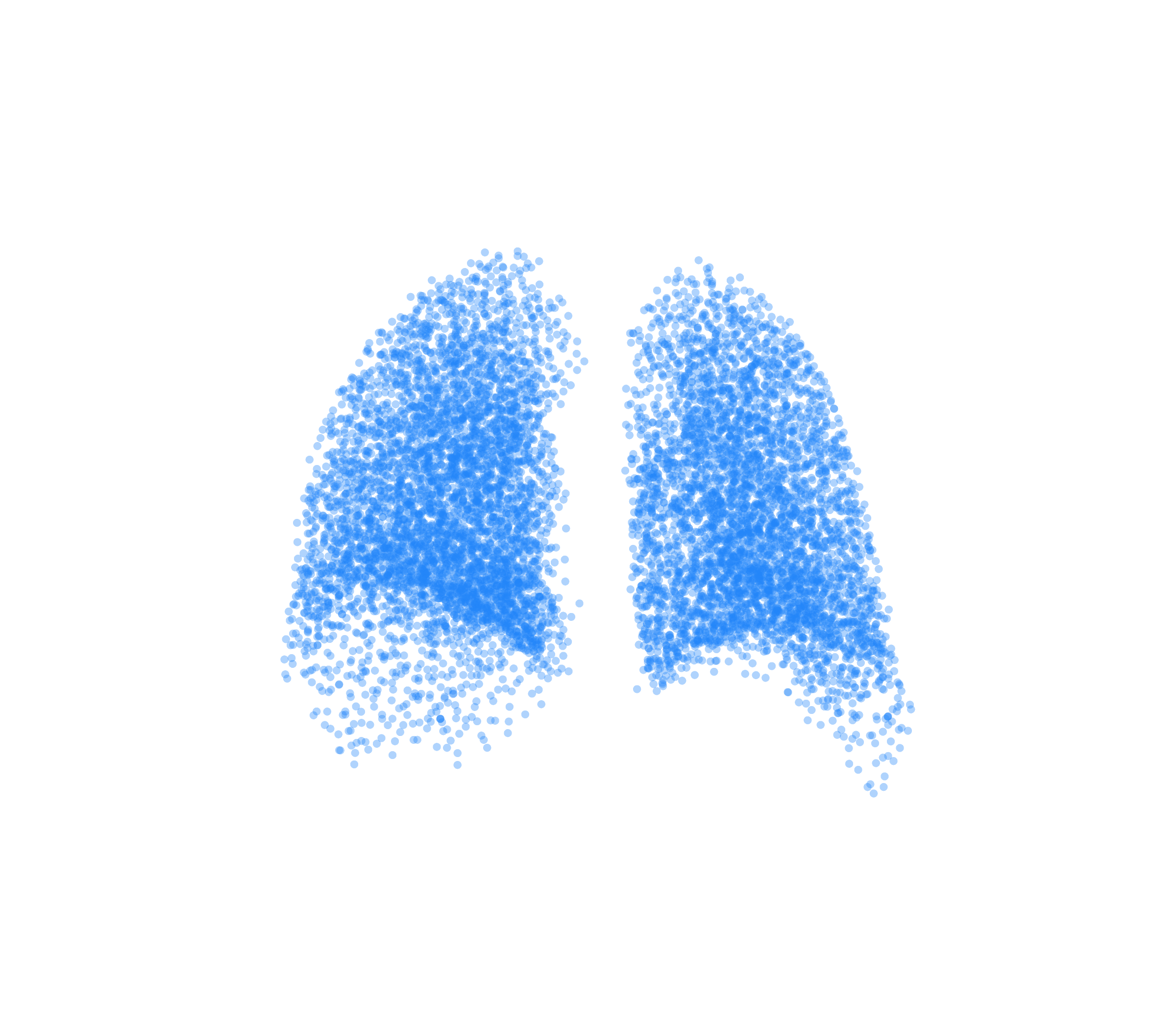 Point Cloud (Inspiration) - Back View