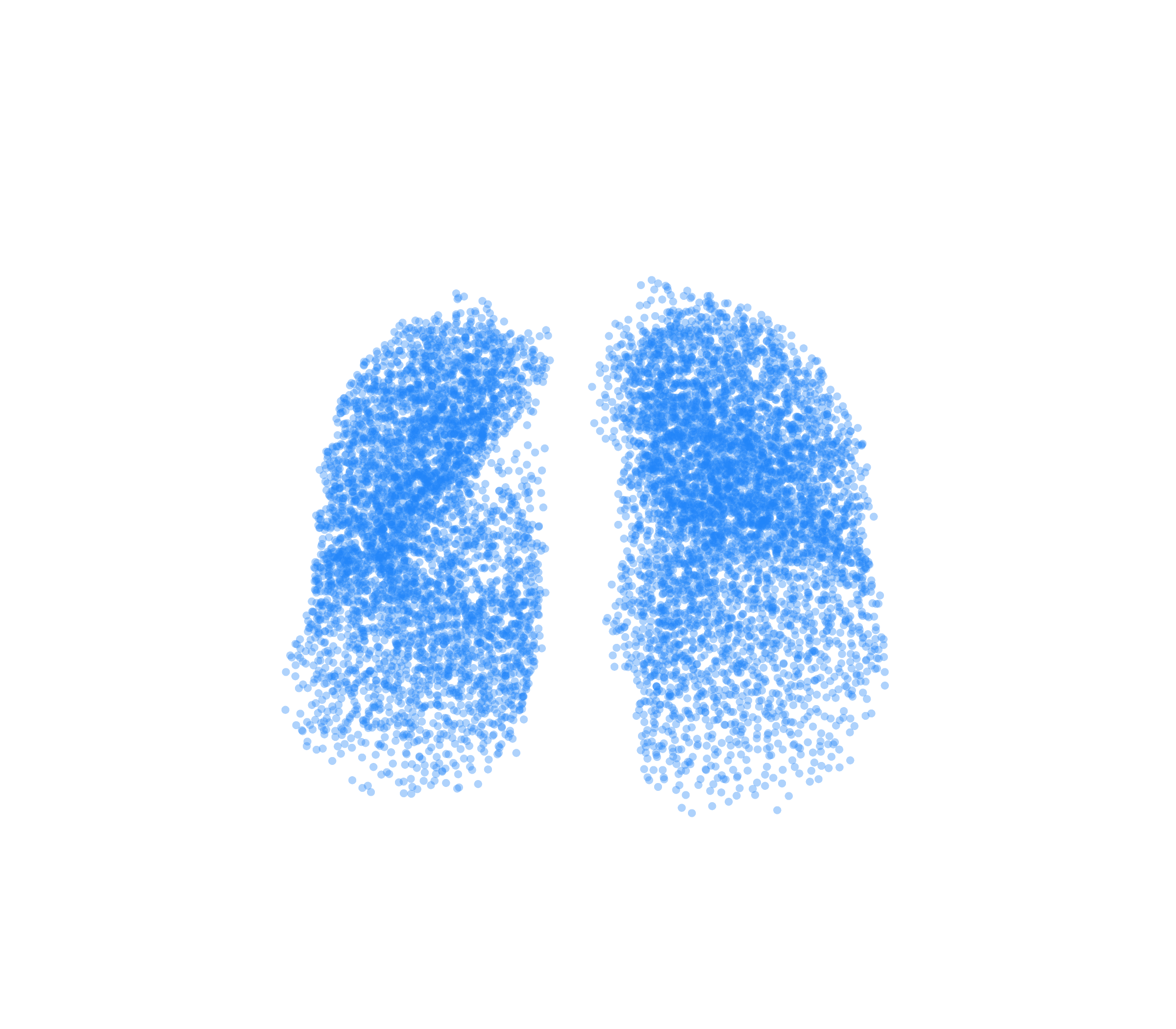 Point Cloud (Inspiration) - Front View