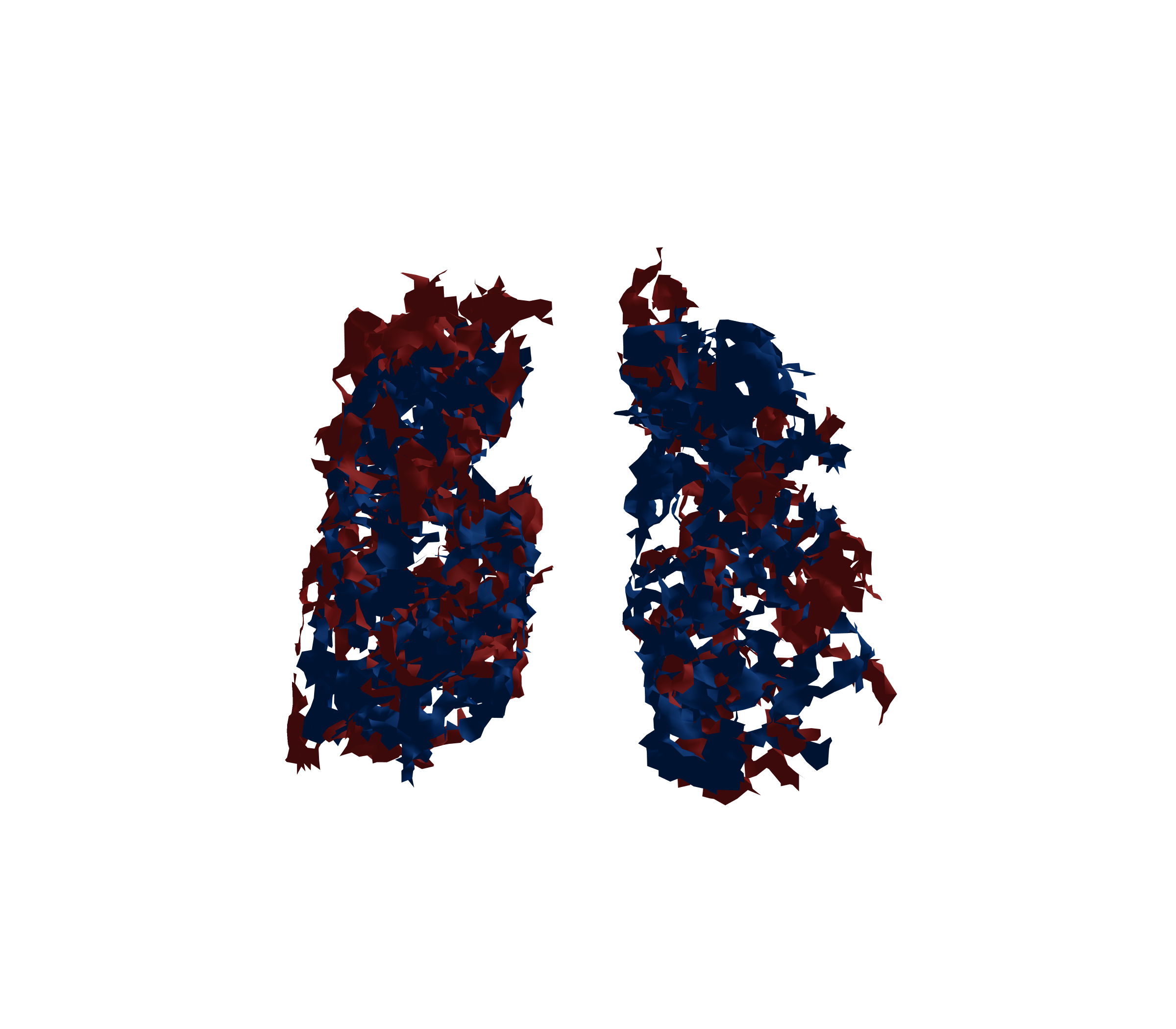 Surface Mesh - Front View