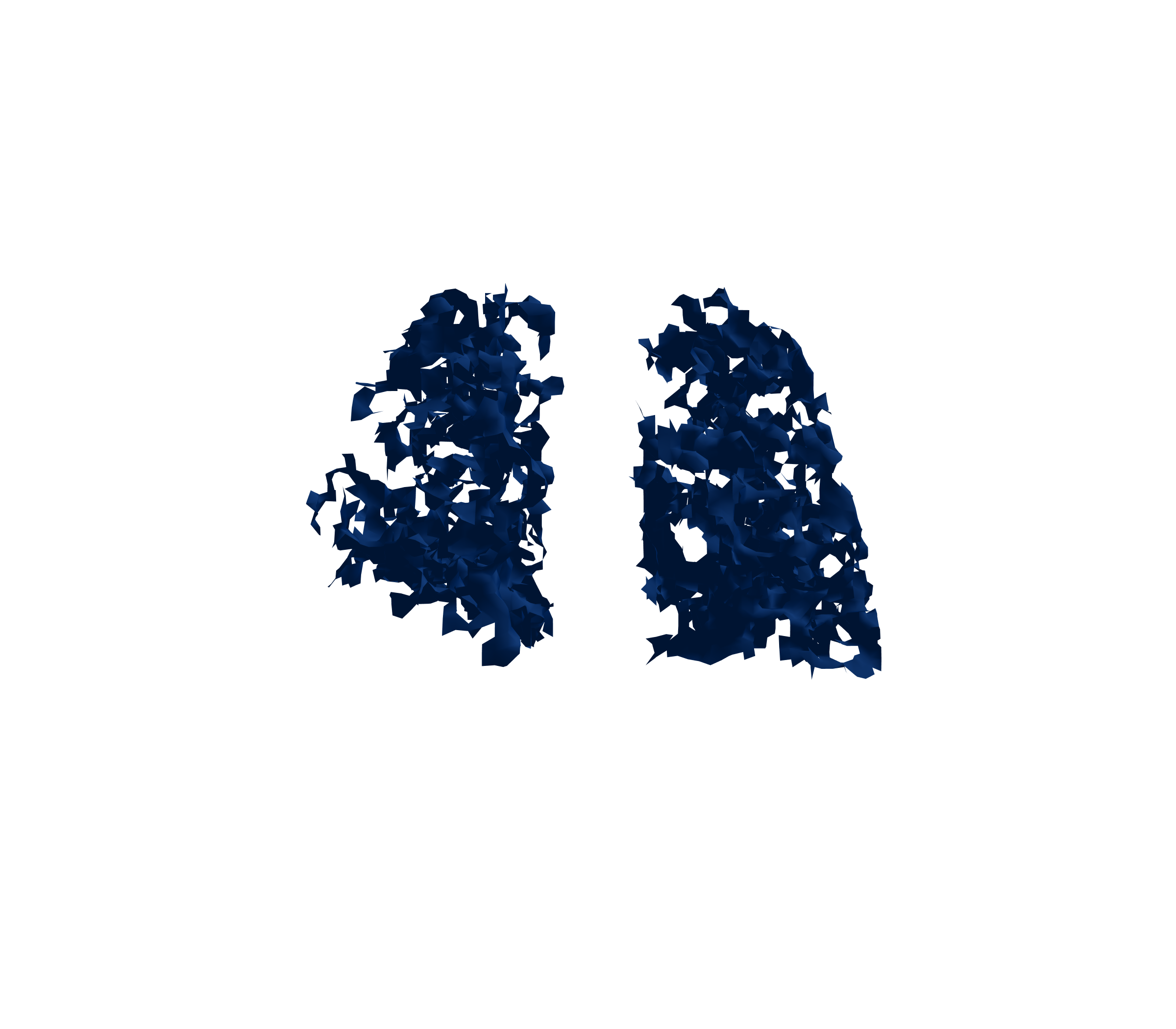 Surface Mesh (Inspiration) - Back View