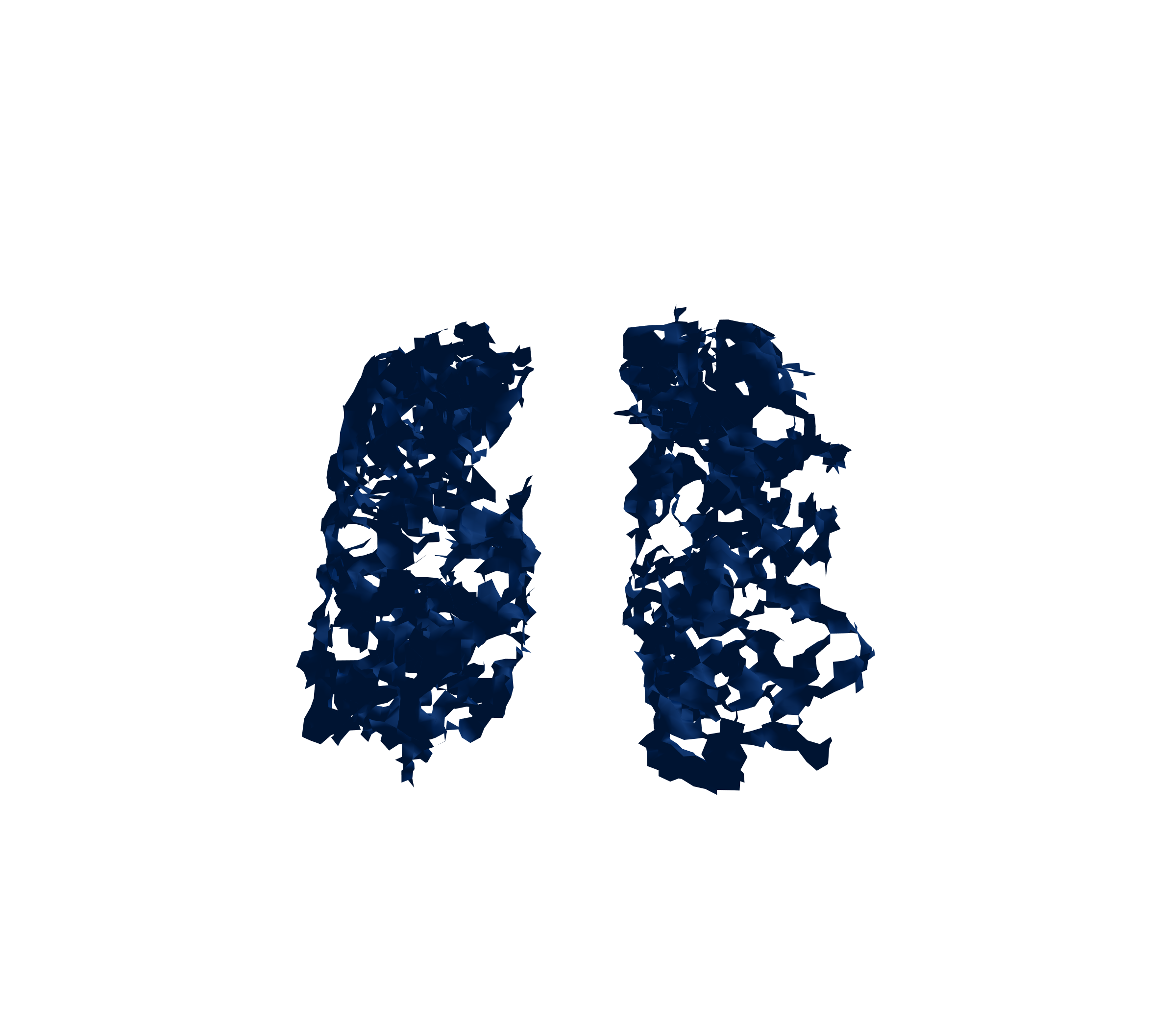 Surface Mesh (Inspiration) - Front View