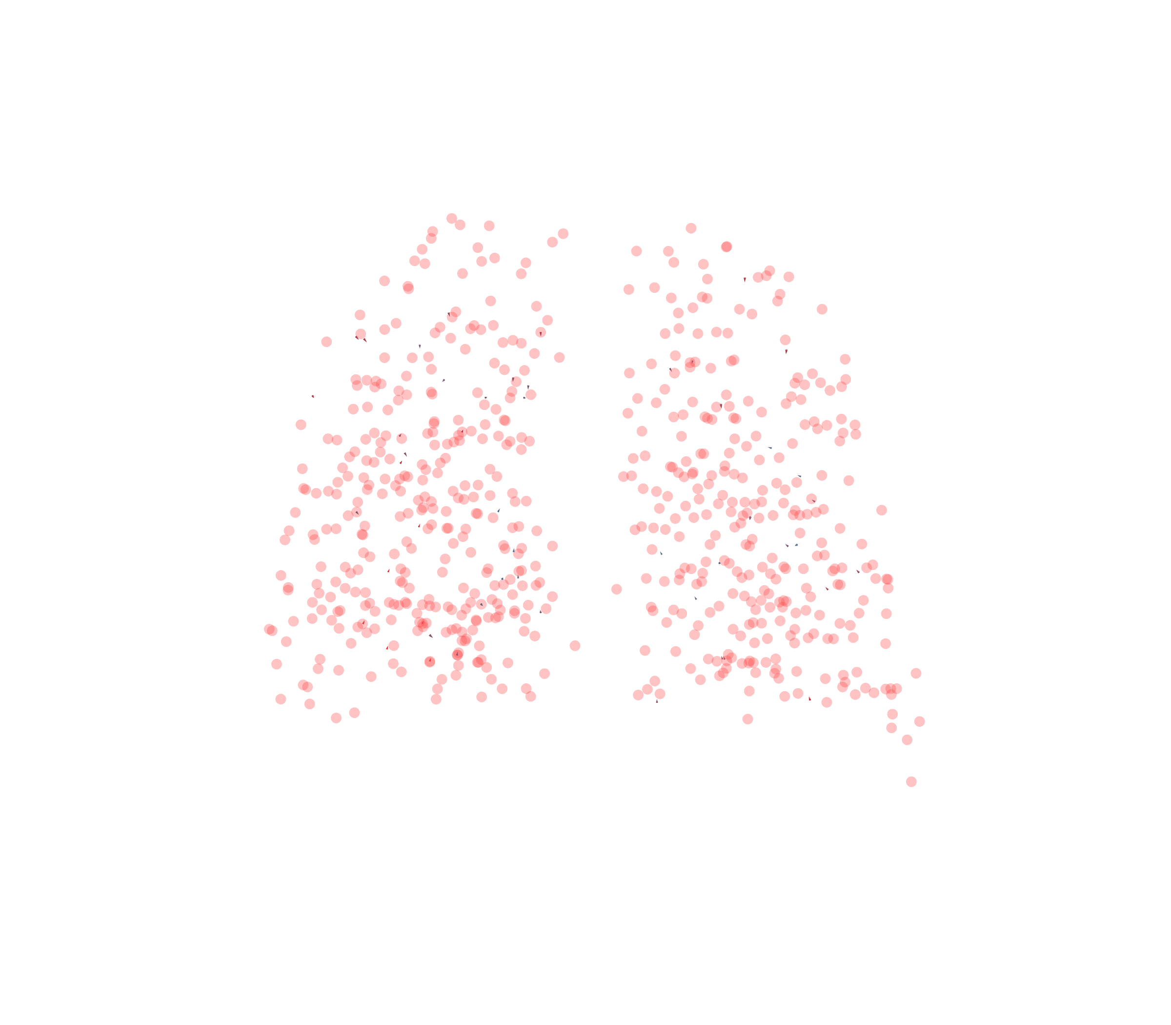 Displacement Vectors - Back View