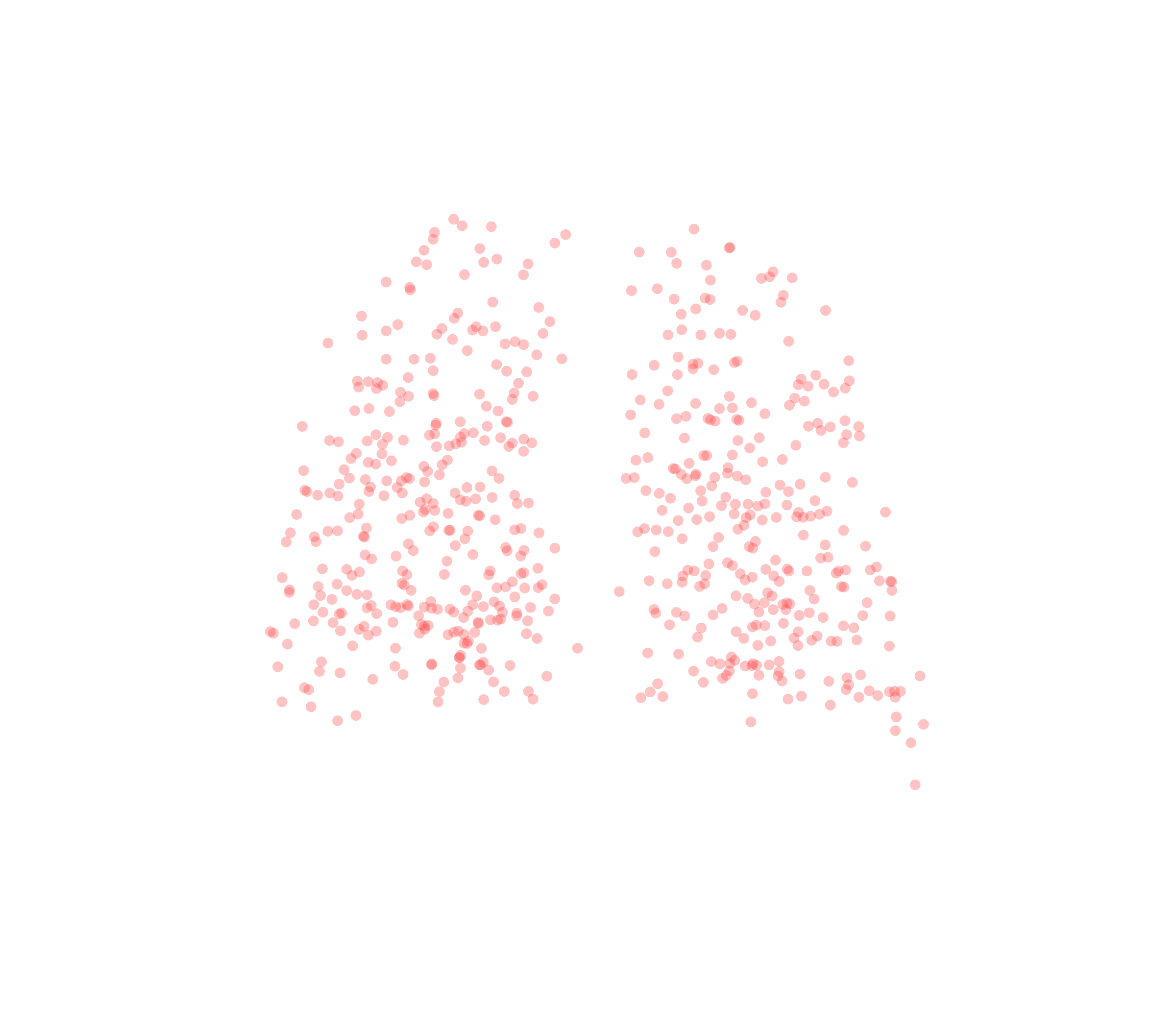Displacement Vectors (Expiration) - Back View