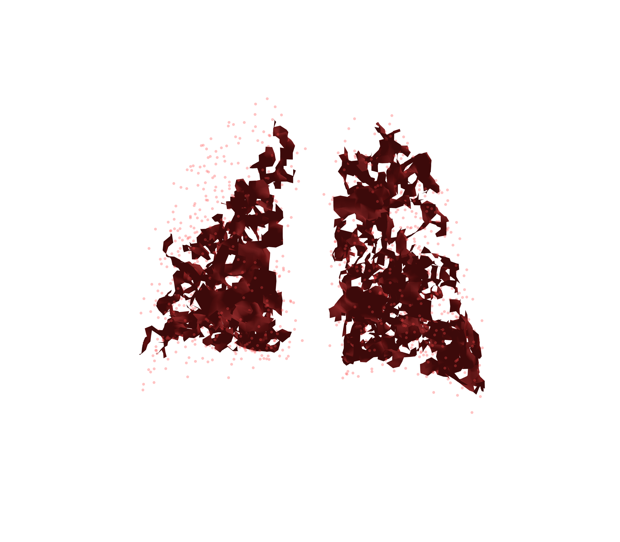 Combined Visualization (Expiration) - Back View