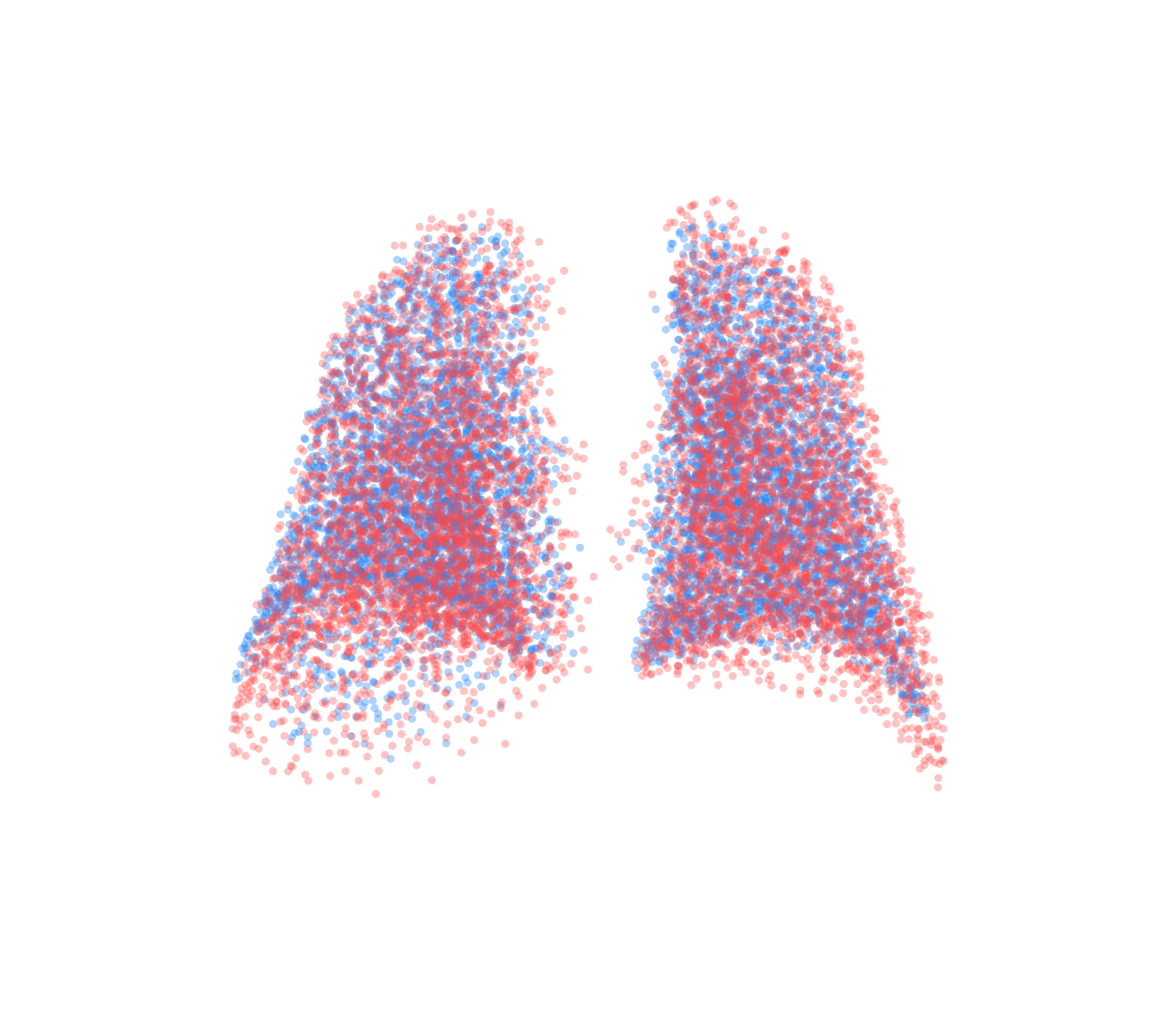 Point Cloud - Back View