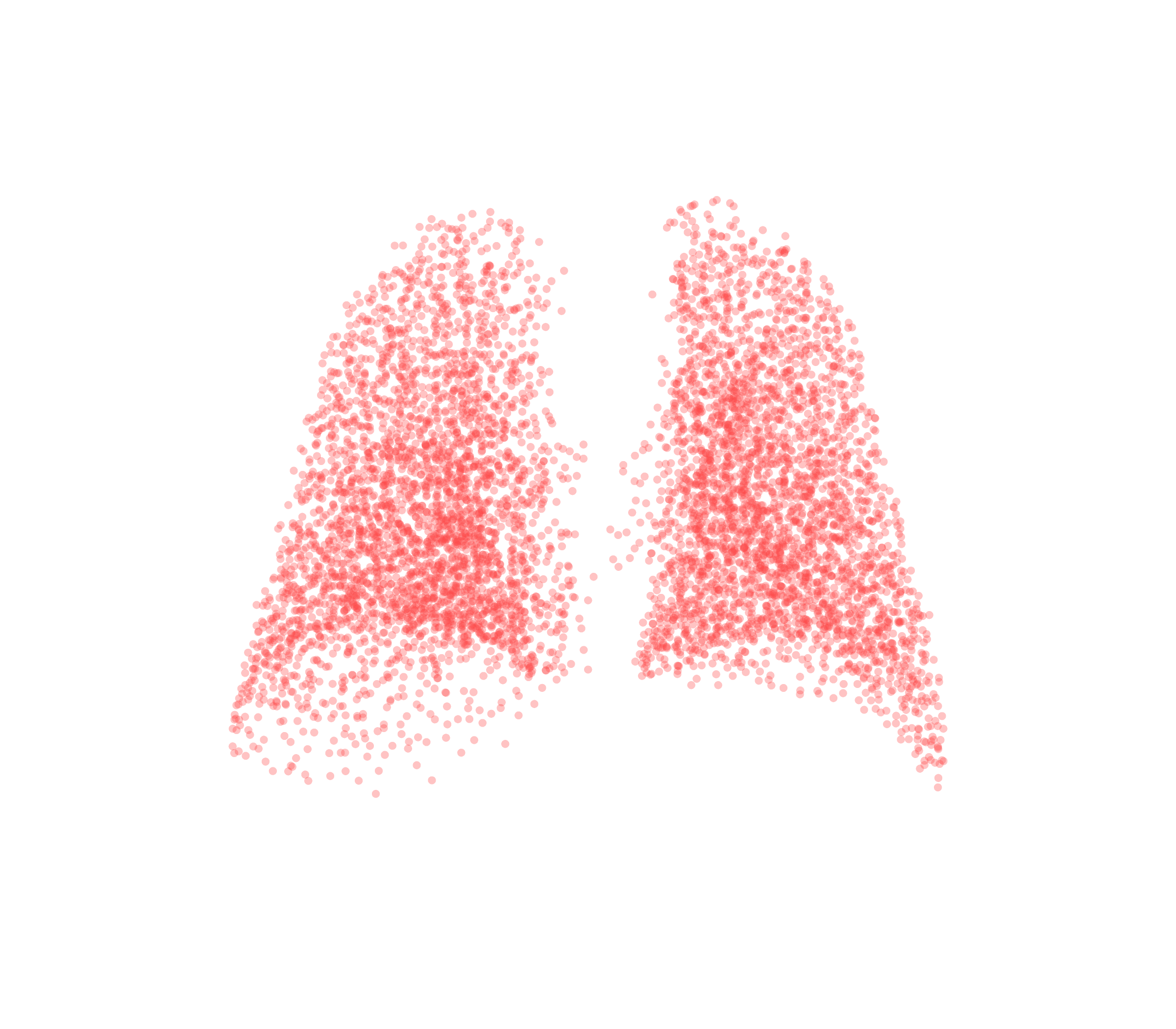 Point Cloud (Expiration) - Back View