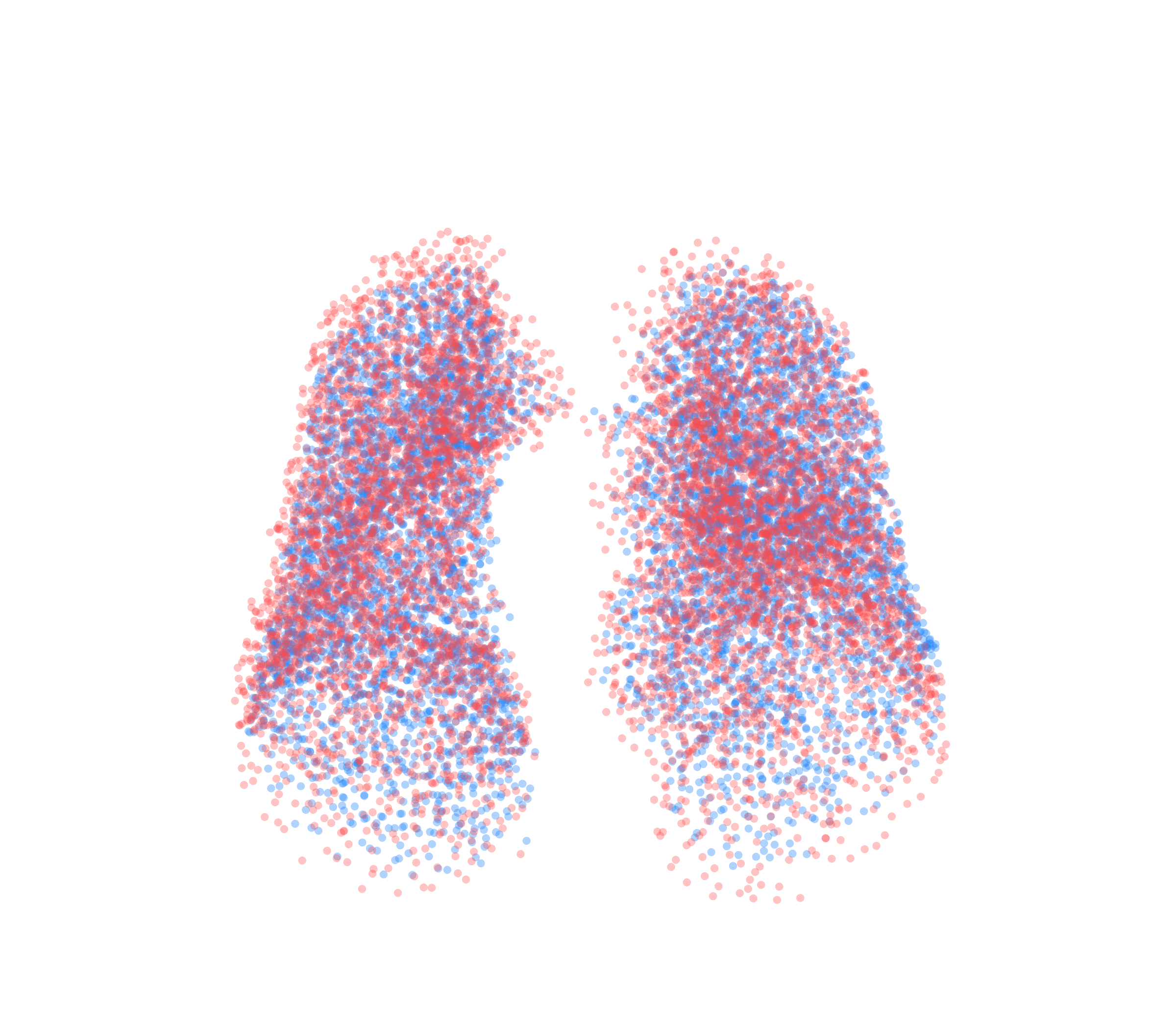 Point Cloud - Front View