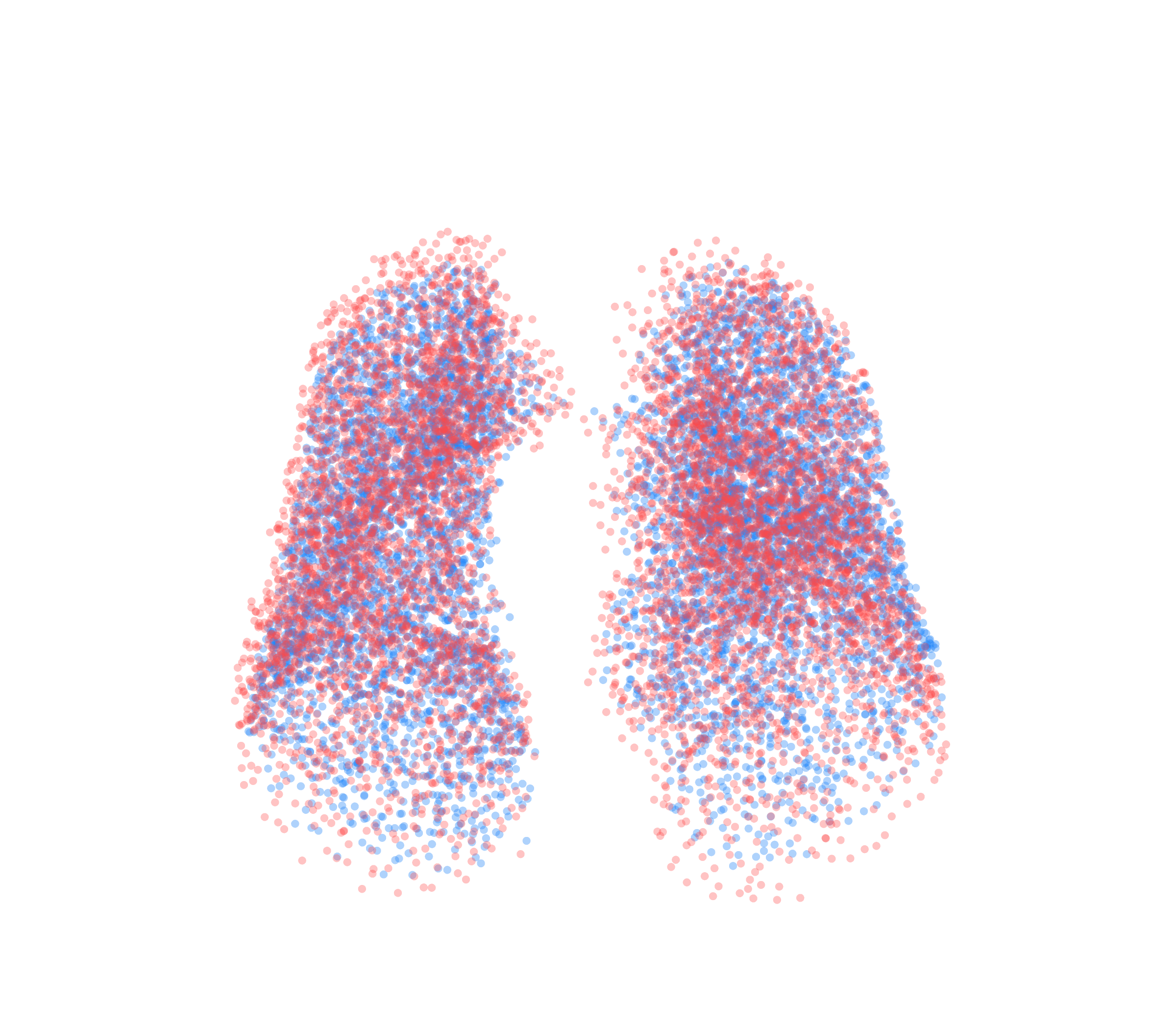 Point Cloud - Front View