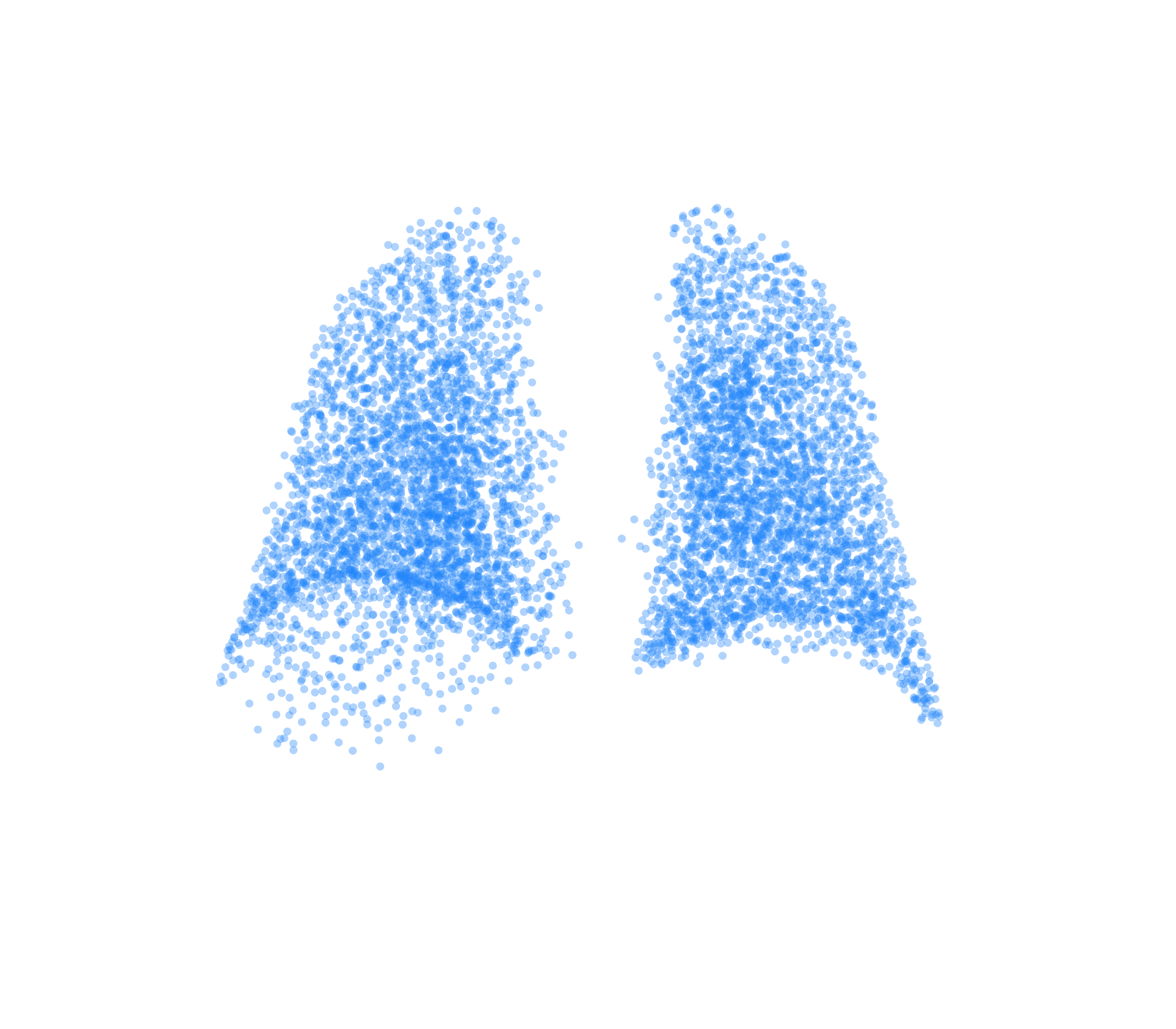 Point Cloud (Inspiration) - Back View