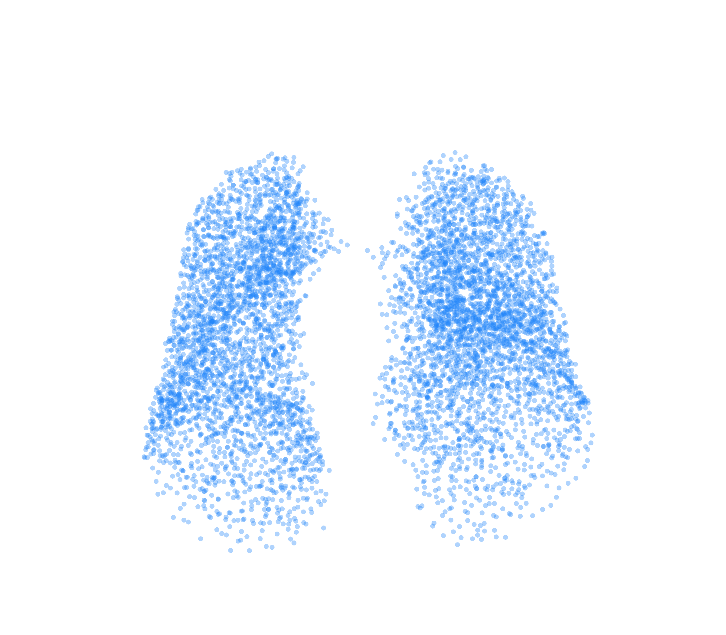 Point Cloud (Inspiration) - Front View