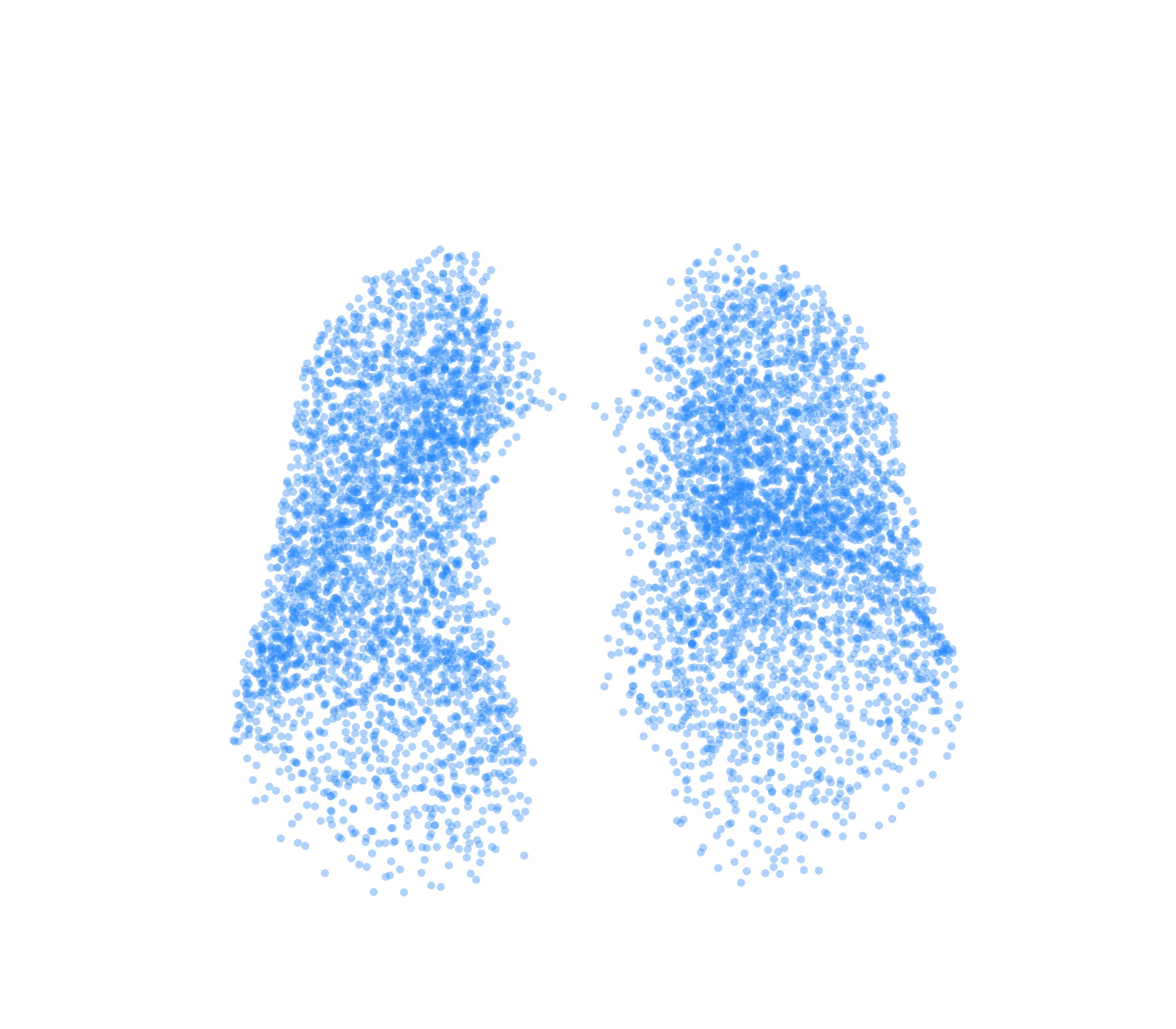 Point Cloud (Inspiration) - Front View