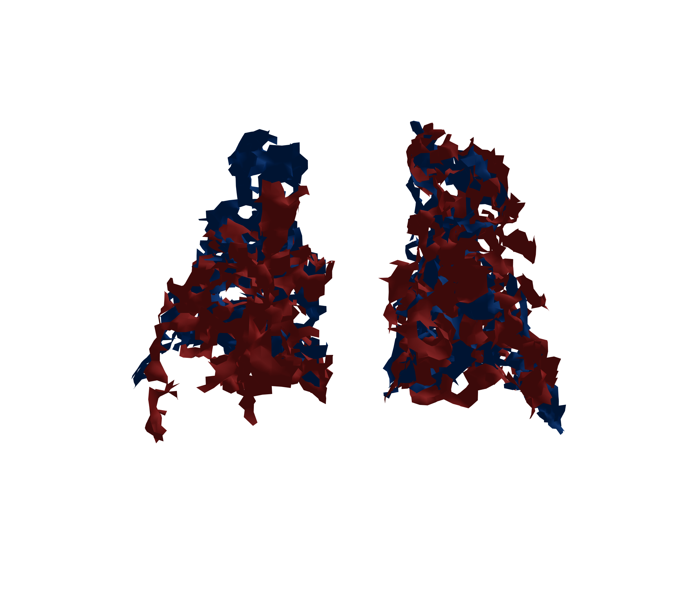 Surface Mesh - Back View