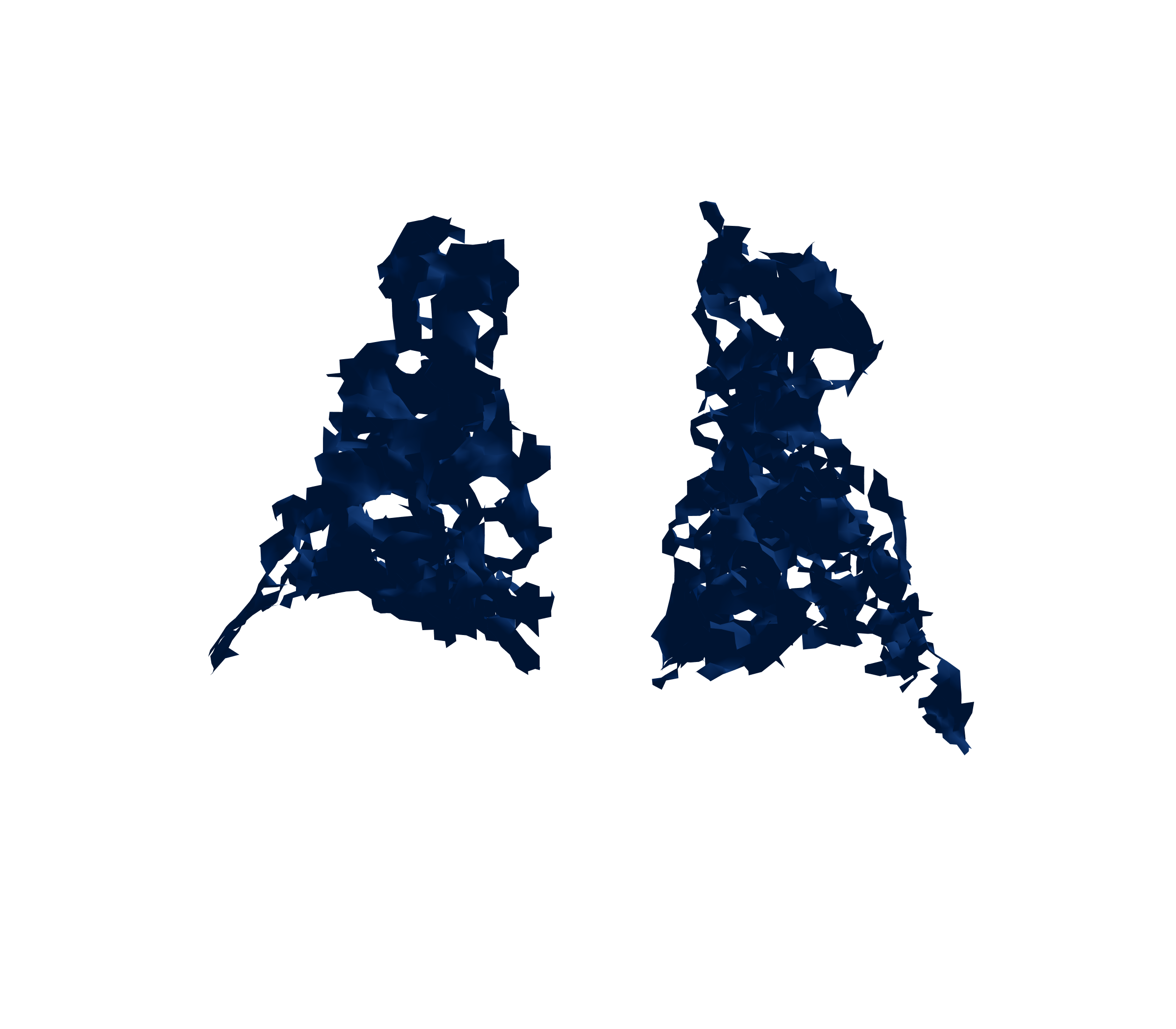 Surface Mesh (Inspiration) - Back View