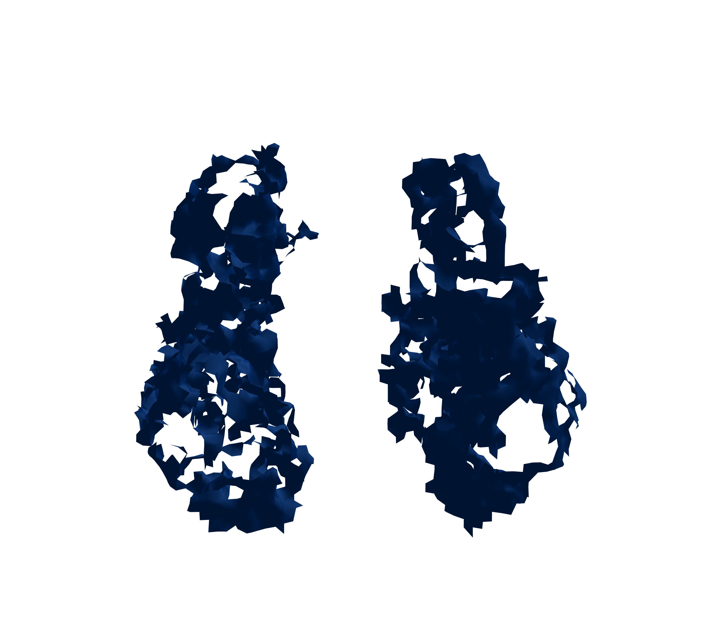 Surface Mesh (Inspiration) - Front View